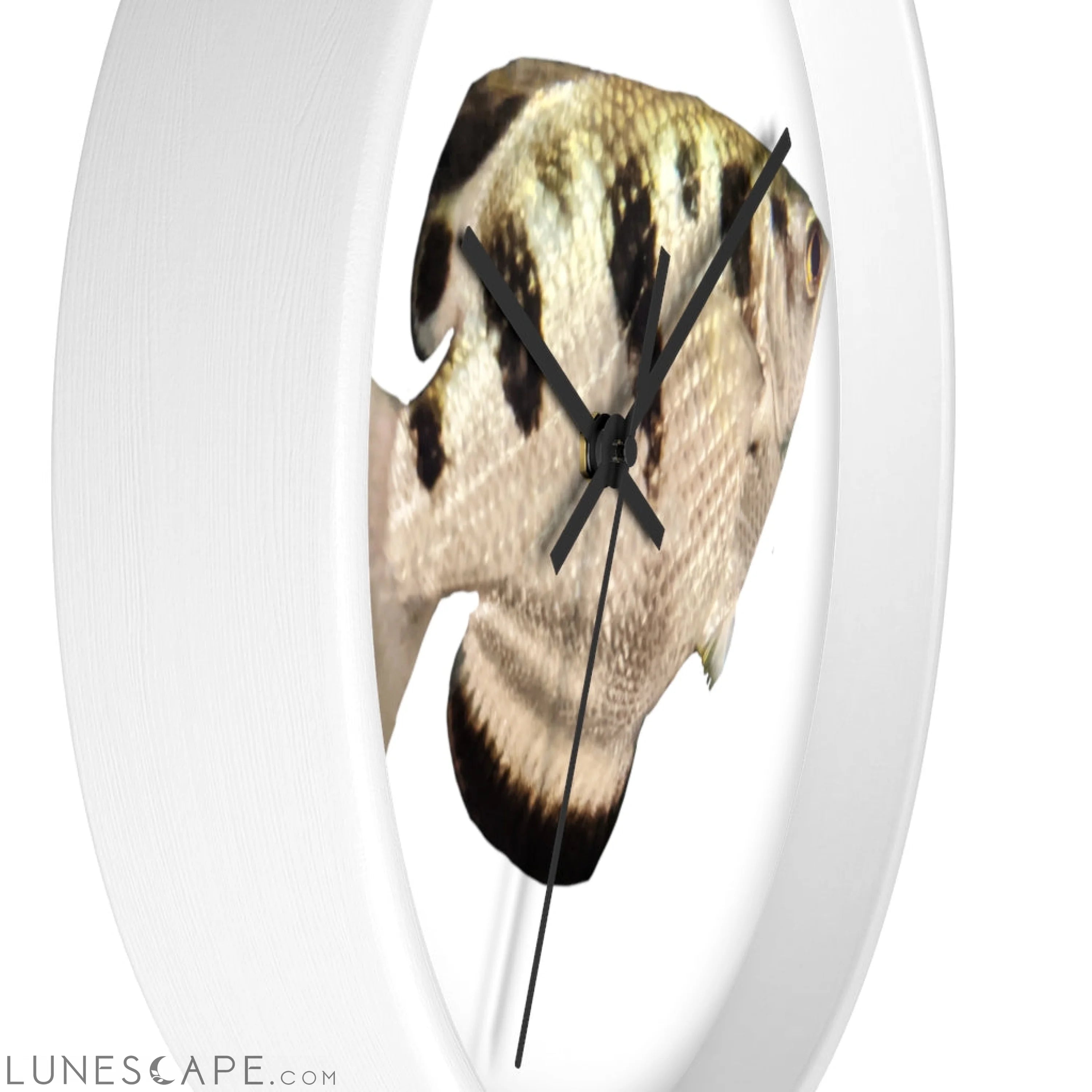 Silver and Black Fish Wall clock LUNESCAPE