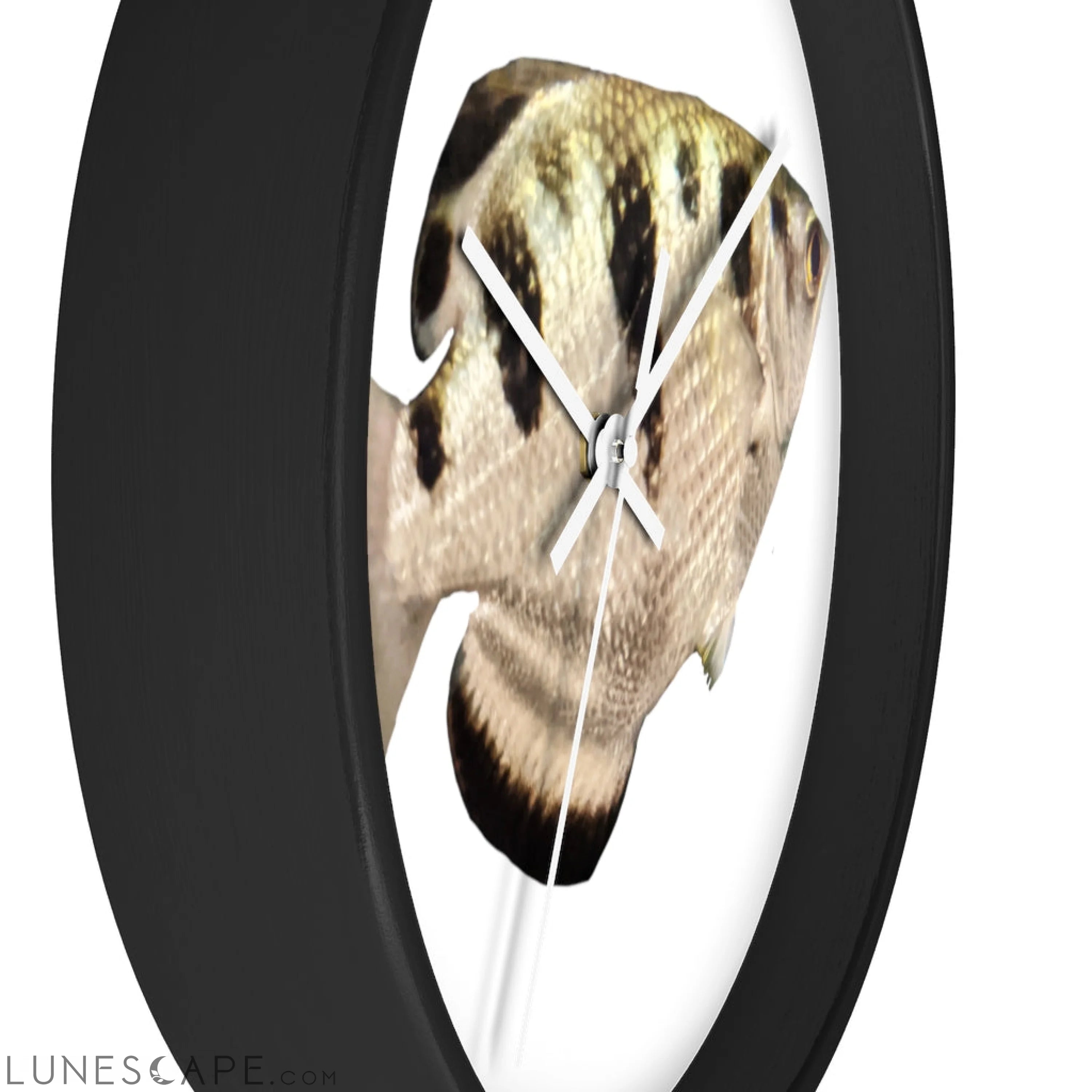 Silver and Black Fish Wall clock LUNESCAPE
