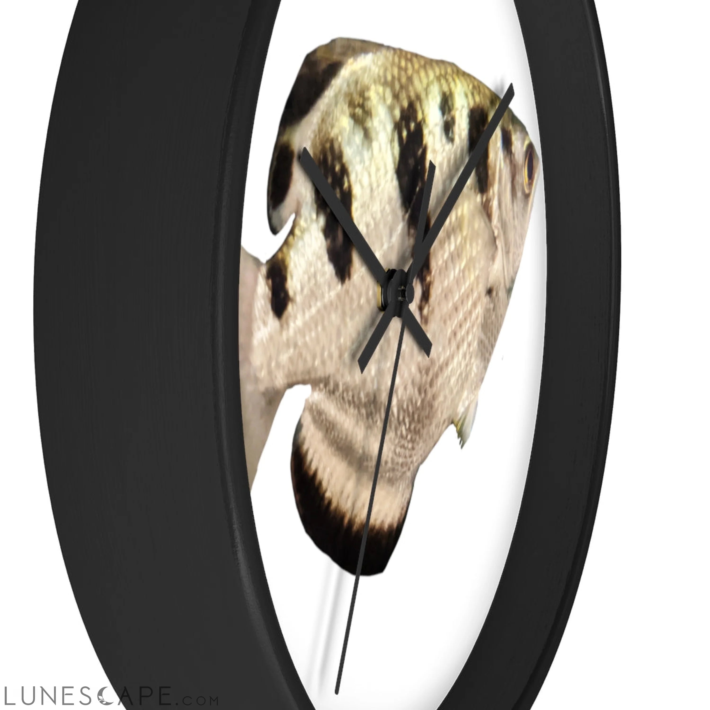 Silver and Black Fish Wall clock LUNESCAPE