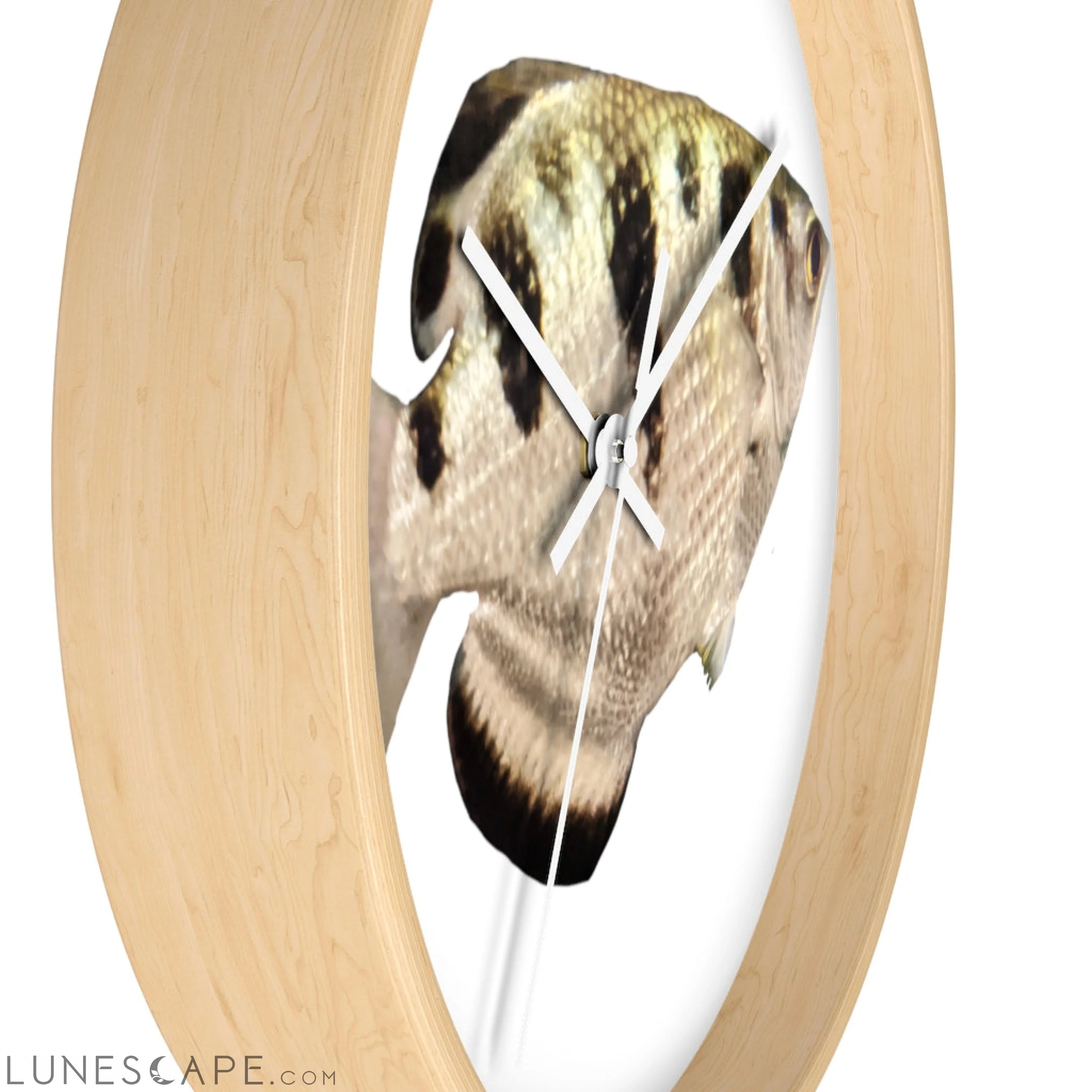 Silver and Black Fish Wall clock LUNESCAPE