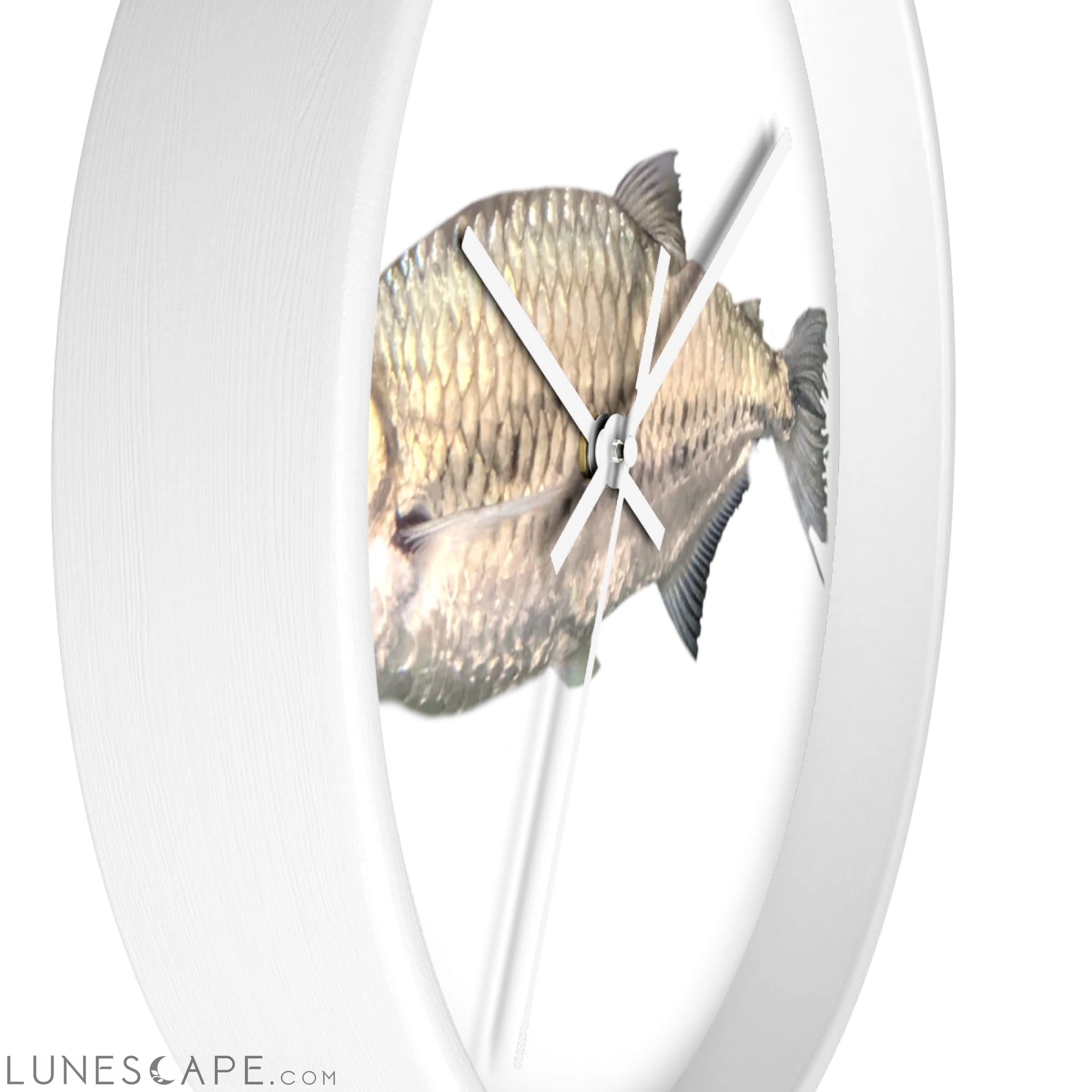 Silver Fish Wall clock LUNESCAPE