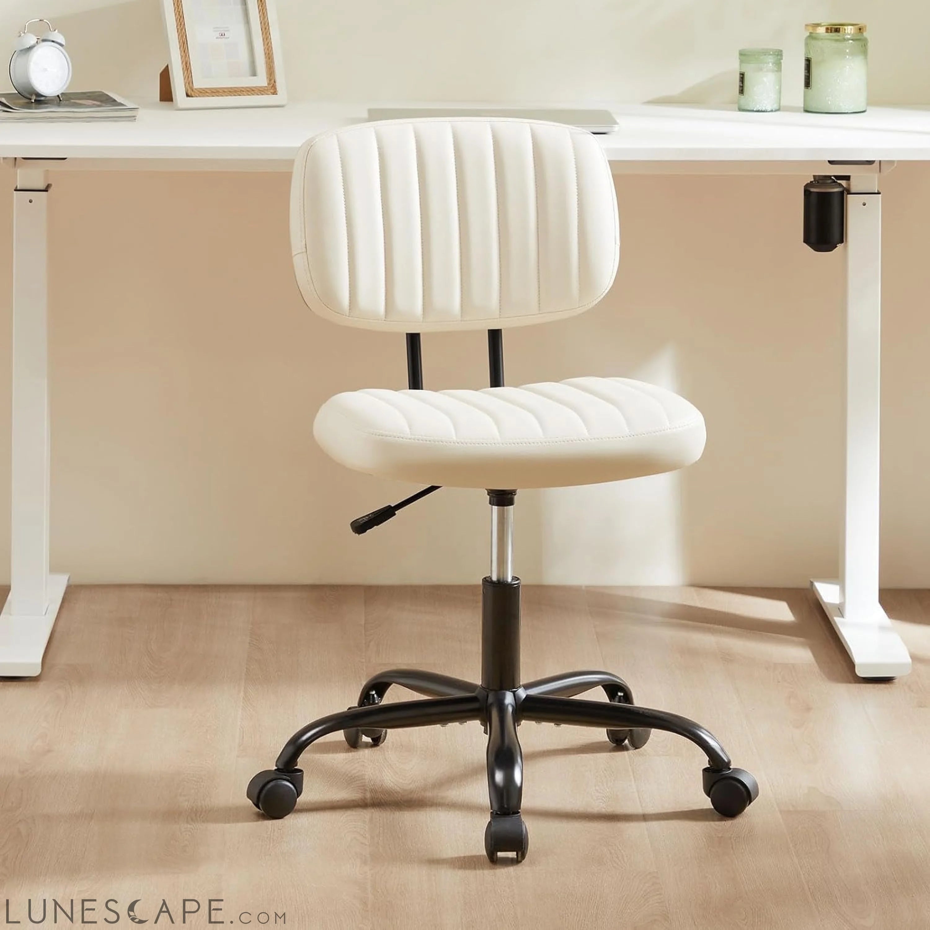 Small Office Computer Desk Chair with Wheels and Lumbar Support, Comfy LUNESCAPE