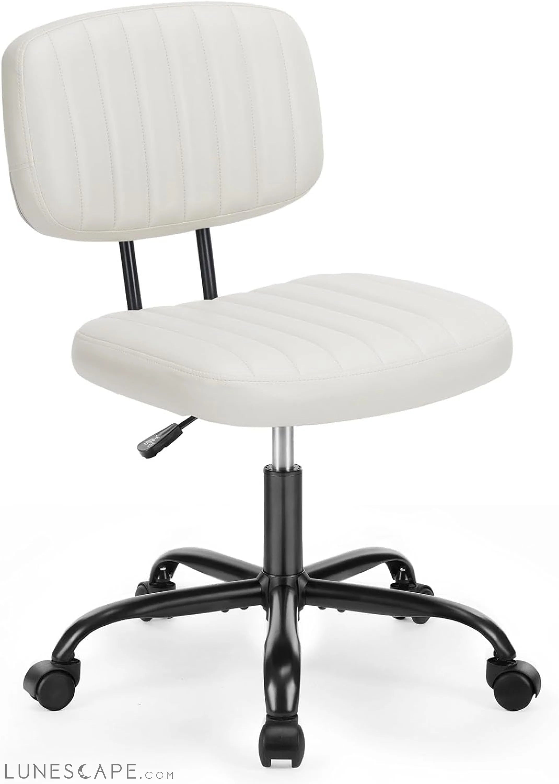 Small Office Computer Desk Chair with Wheels and Lumbar Support, Comfy LUNESCAPE