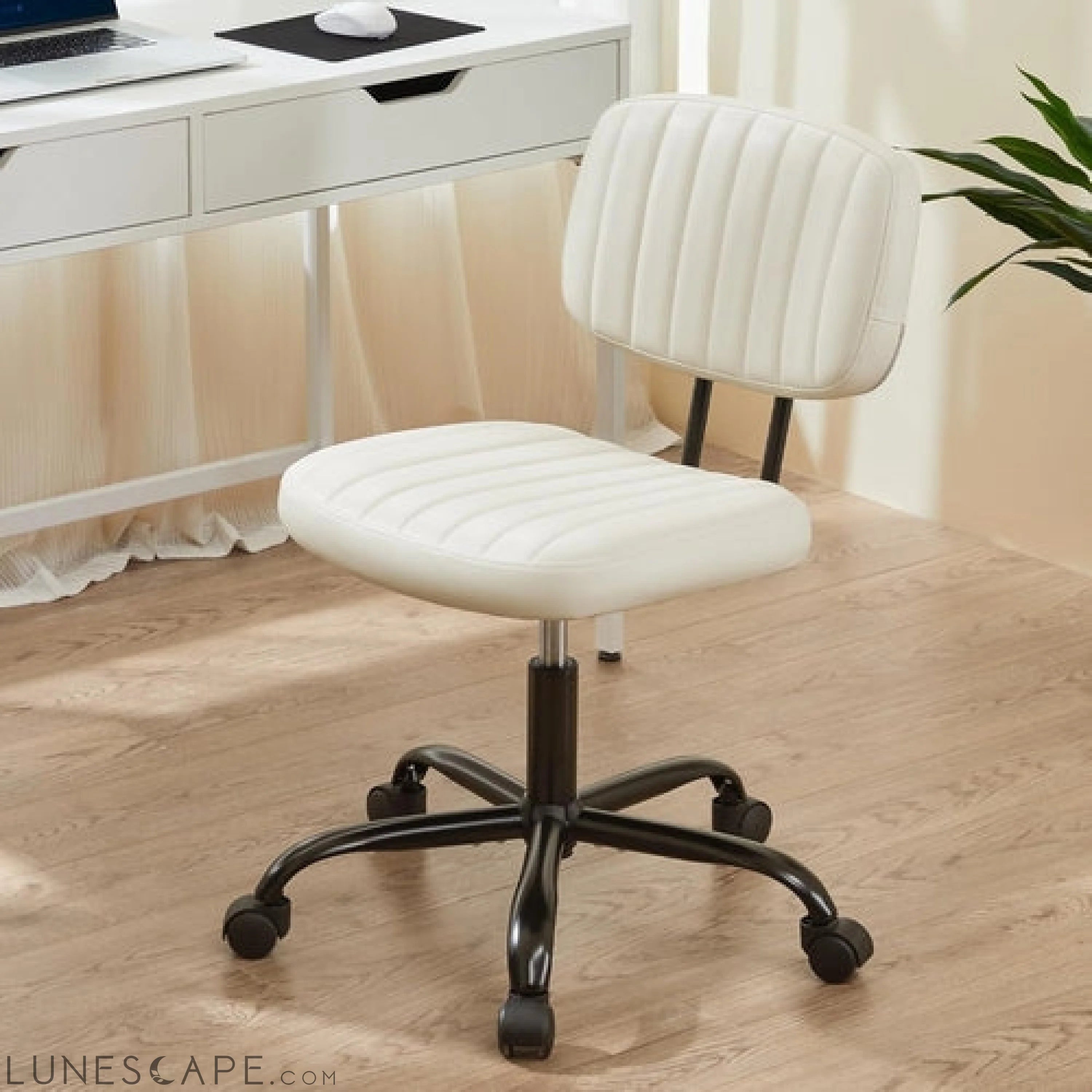 Small Office Computer Desk Chair with Wheels and Lumbar Support, Comfy LUNESCAPE