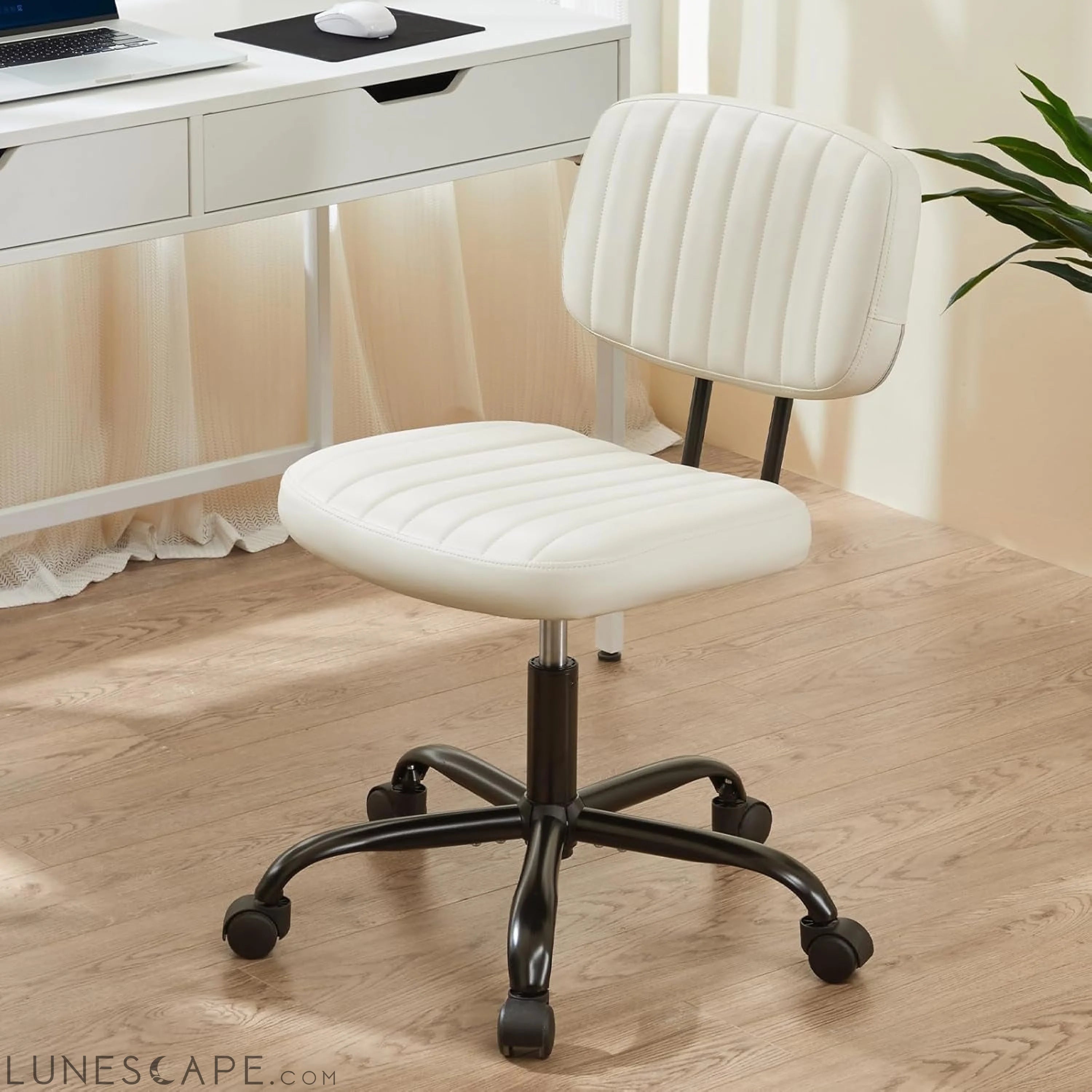 Small Office Computer Desk Chair with Wheels and Lumbar Support, Comfy LUNESCAPE