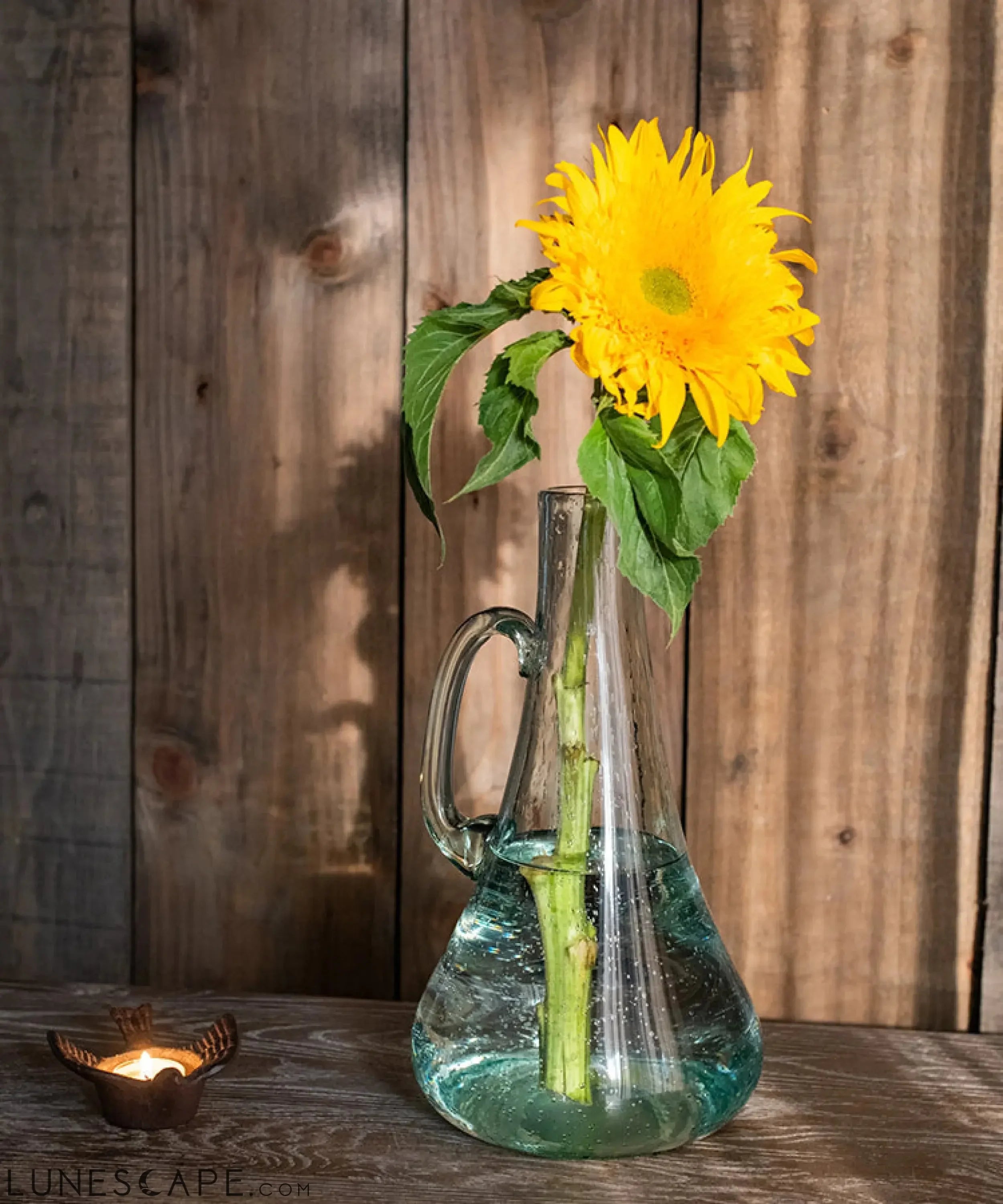 Small Openning Bubble Glass Kettle Vase 13" Tall LUNESCAPE