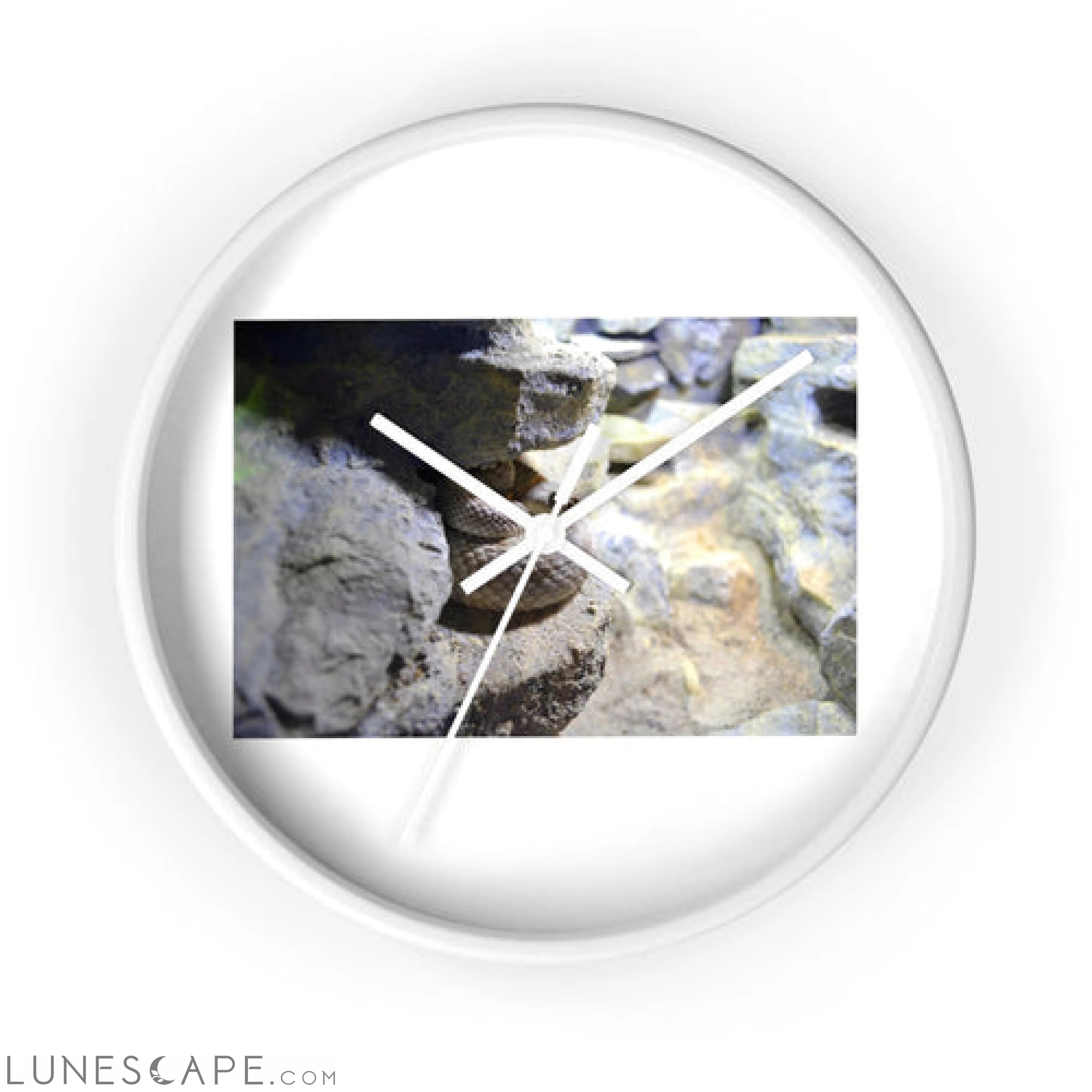 Snake Wall clock 10’’ / White / White Wall Clocks