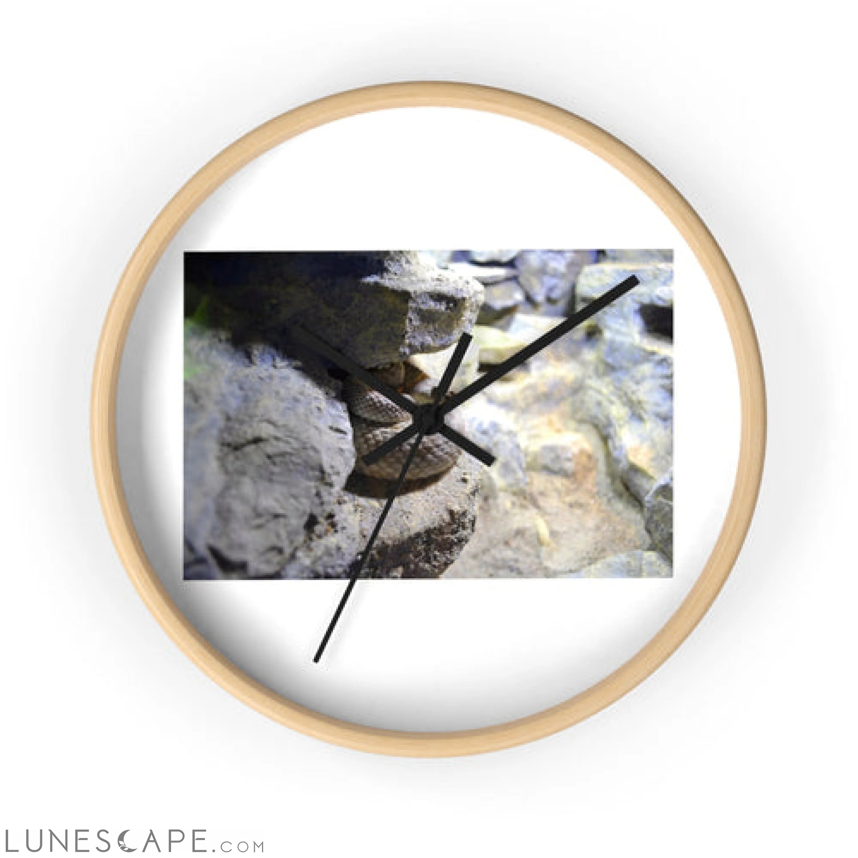 Snake Wall clock 10’’ / Wooden / Black Wall Clocks