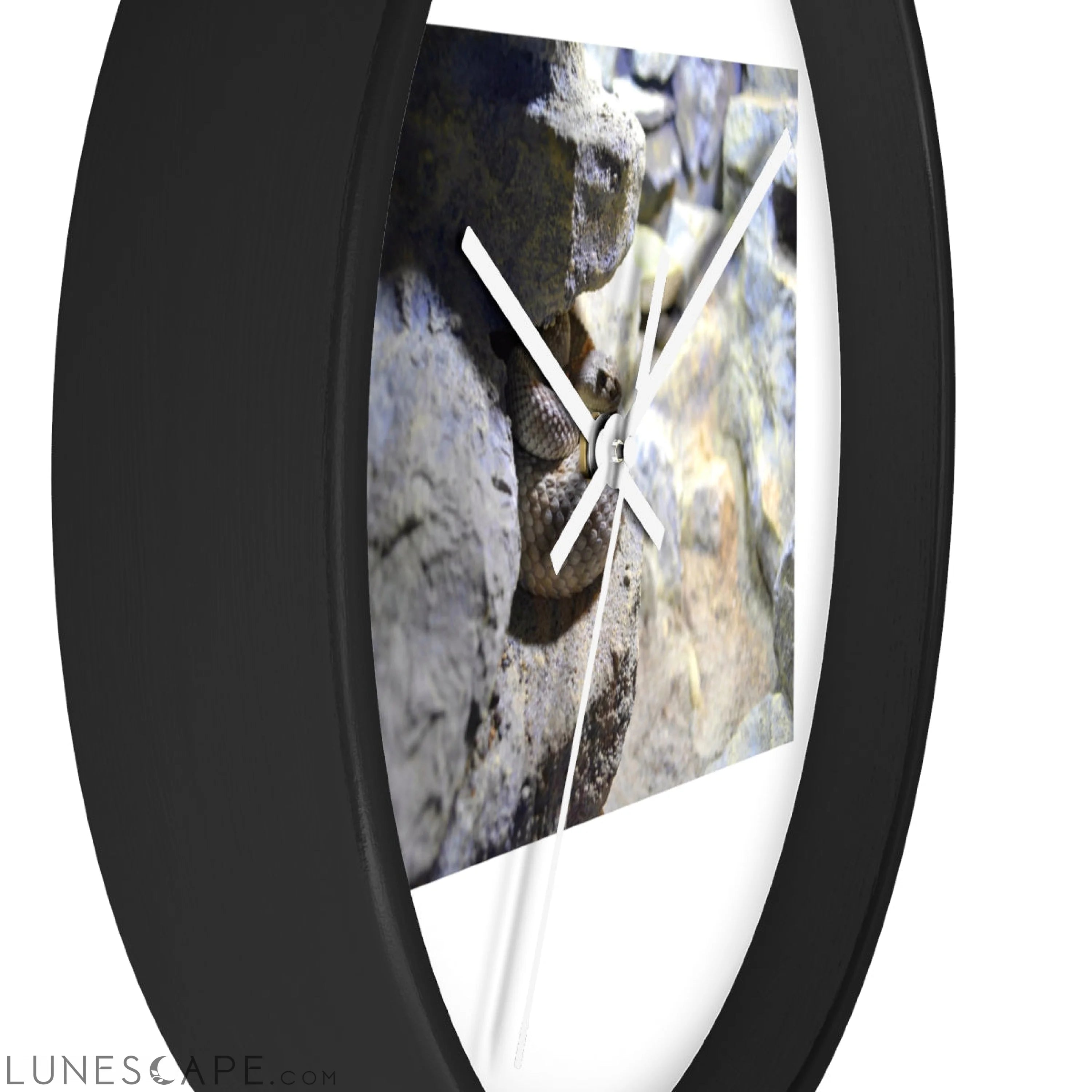 Snake Wall clock Wall Clocks