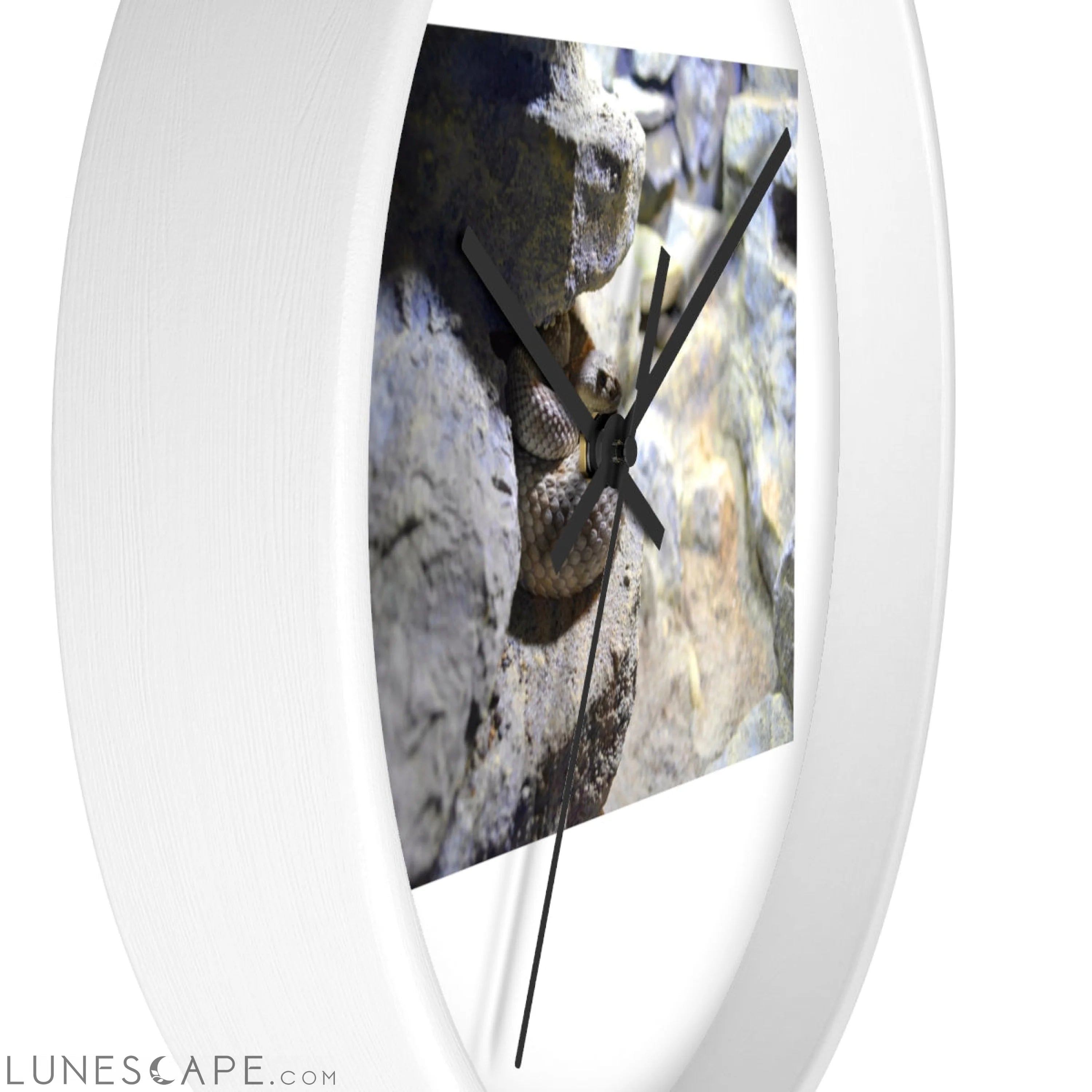 Snake Wall clock Wall Clocks