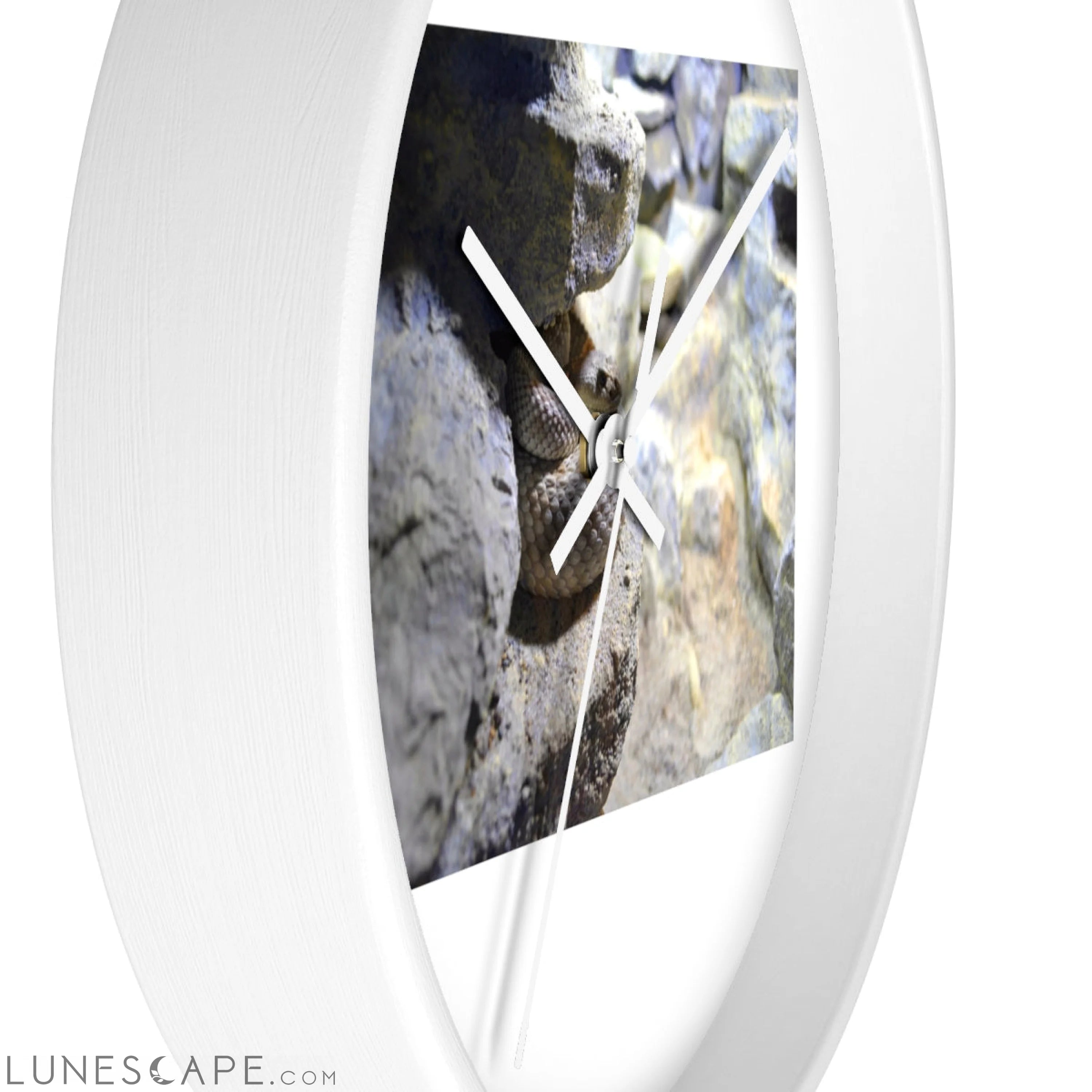 Snake Wall clock Wall Clocks