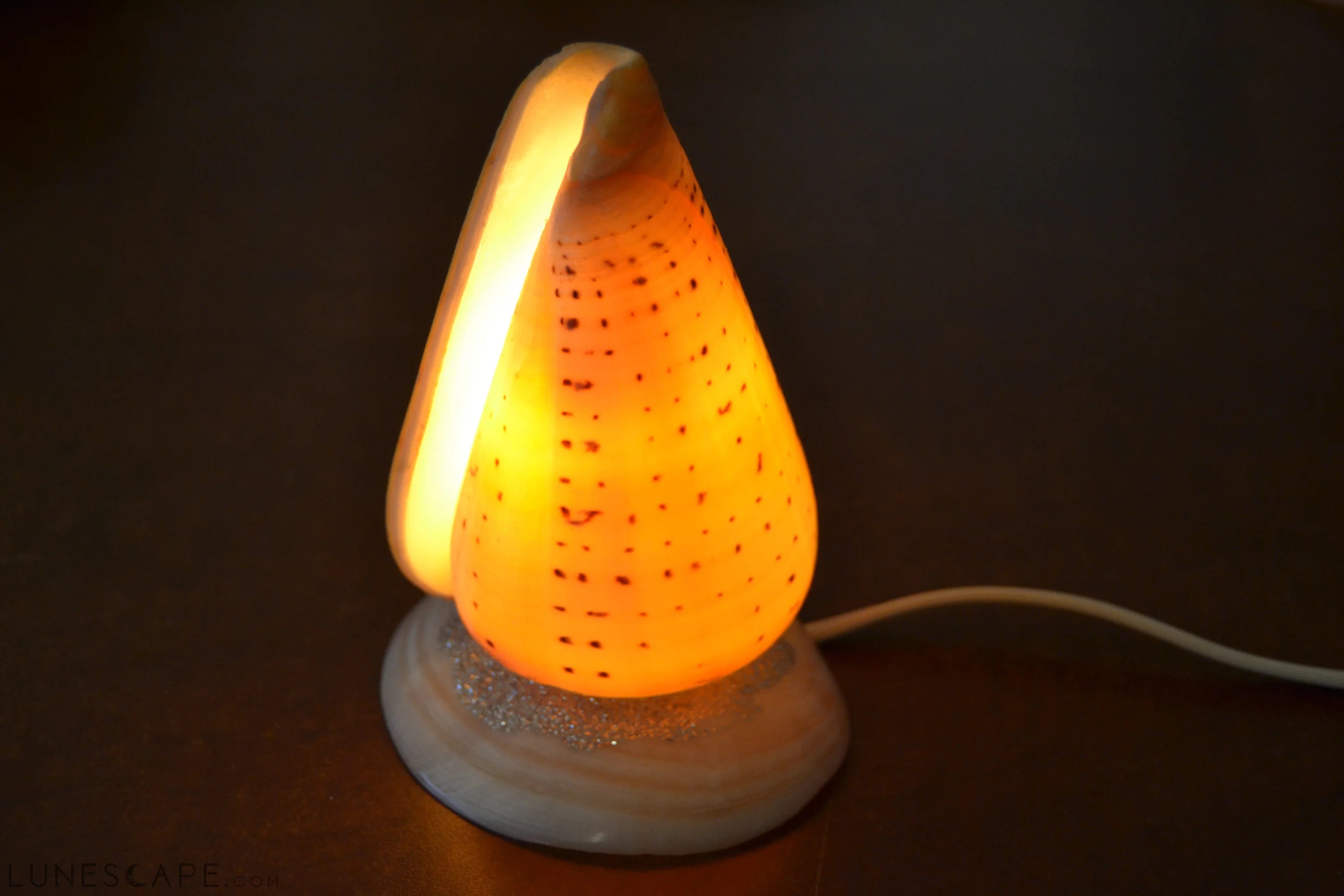 Spotted Orange Cone Sea Shell Table Lamp LUNESCAPE