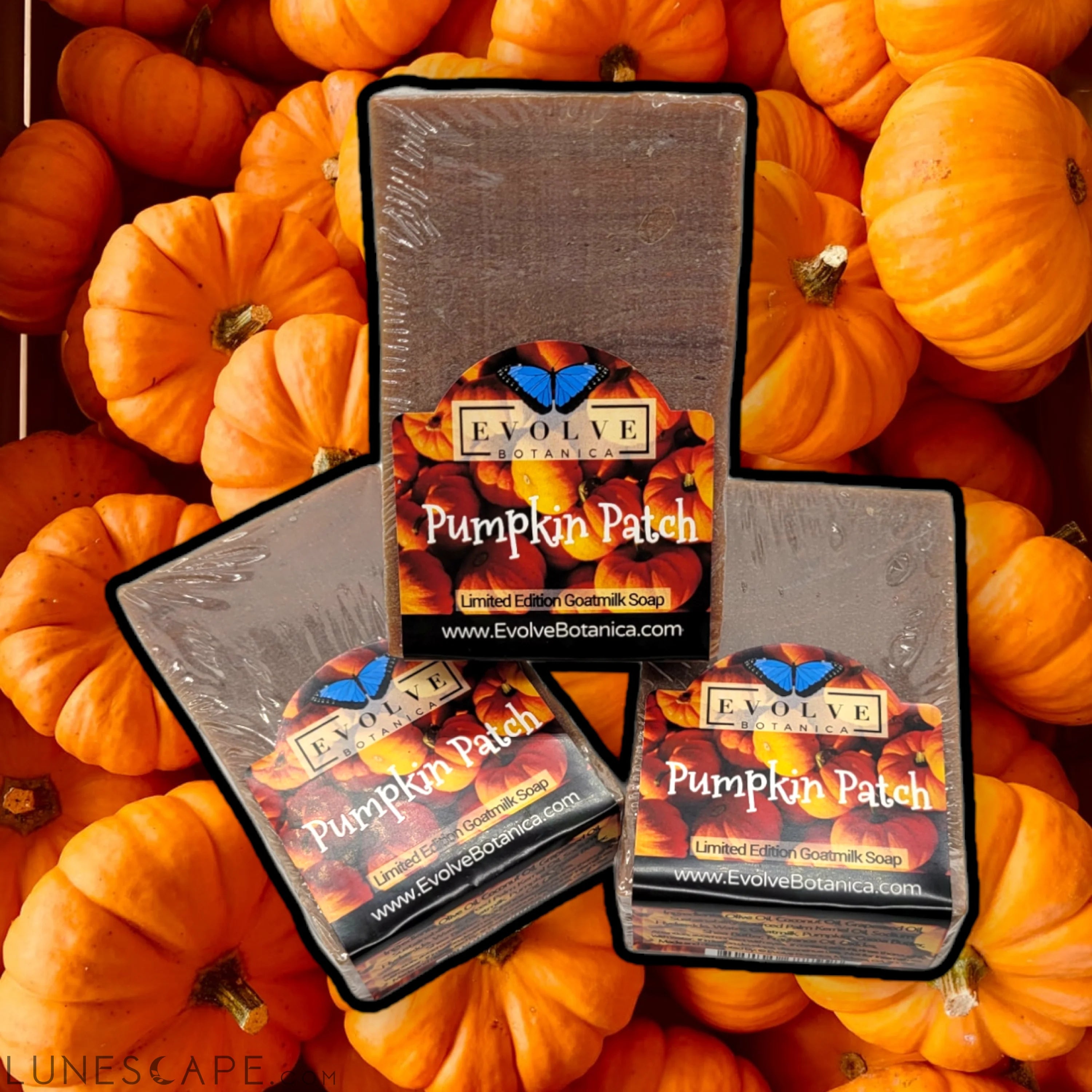 Standard Soap - Pumpkin Patch (Seasonal) LUNESCAPE