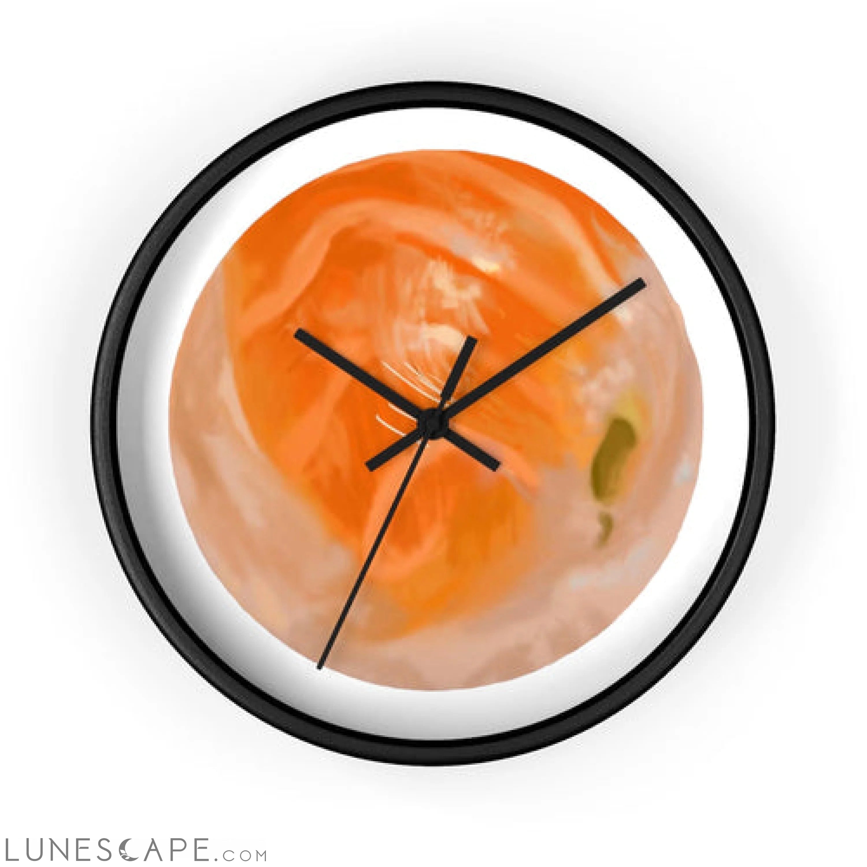 Sushi Wall clock LUNESCAPE