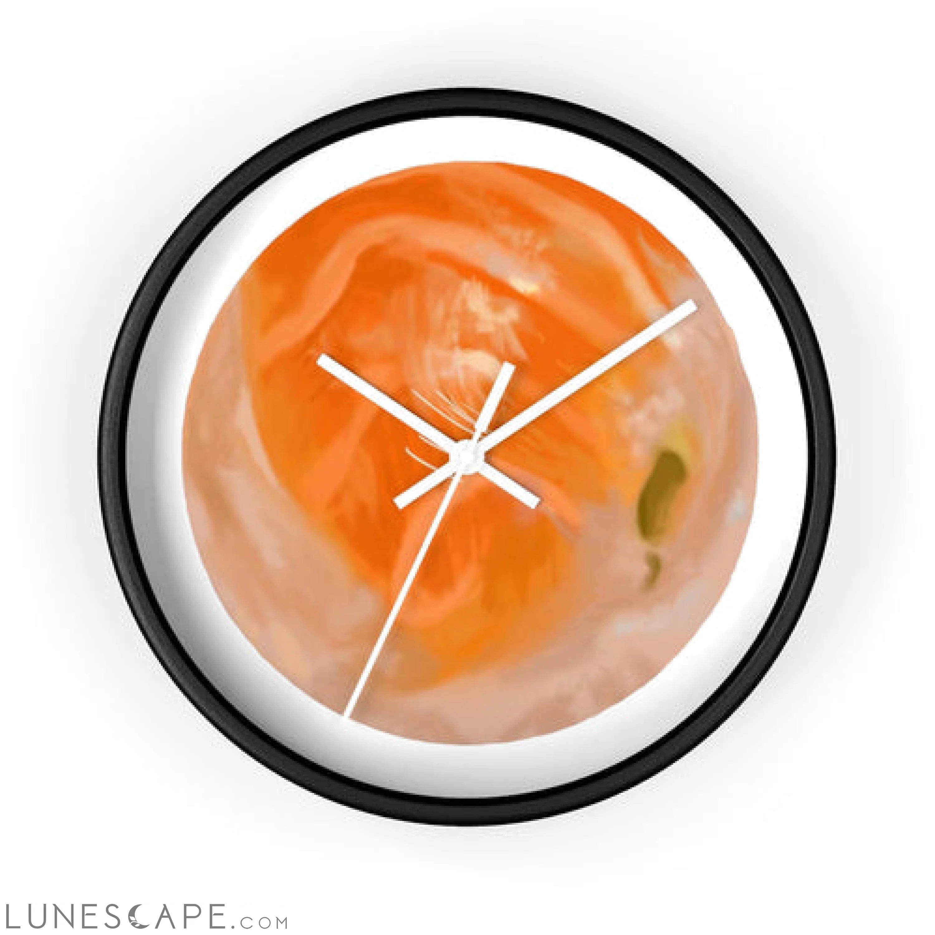 Sushi Wall clock LUNESCAPE