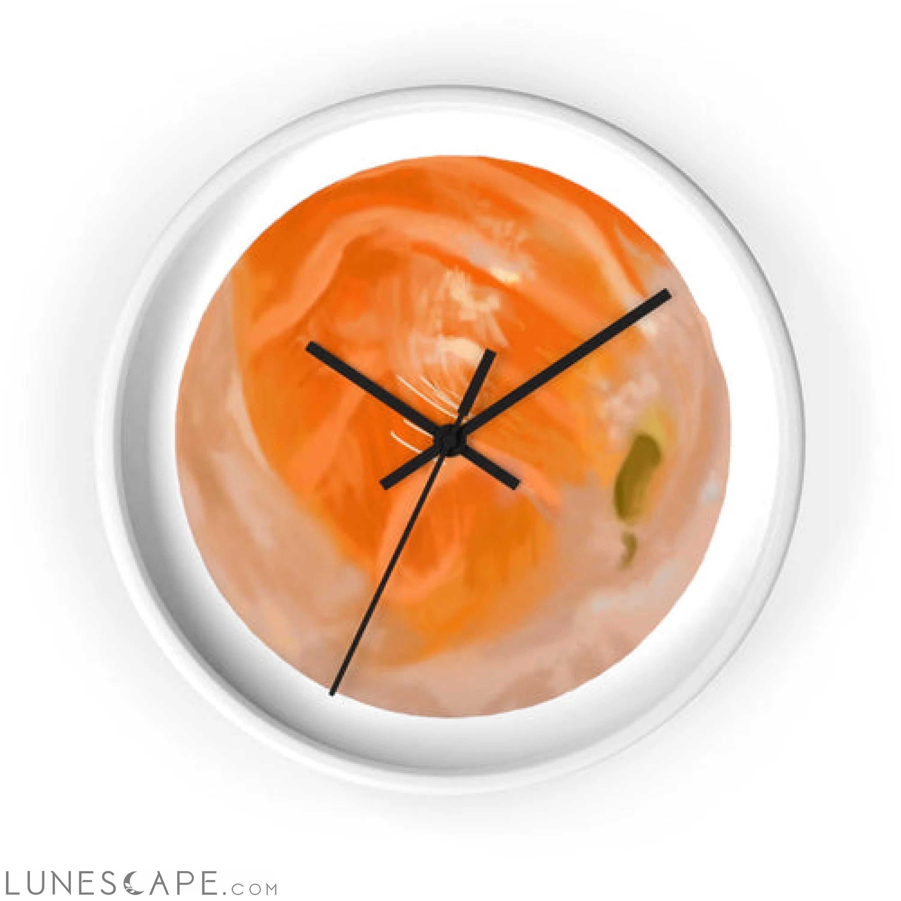 Sushi Wall clock LUNESCAPE