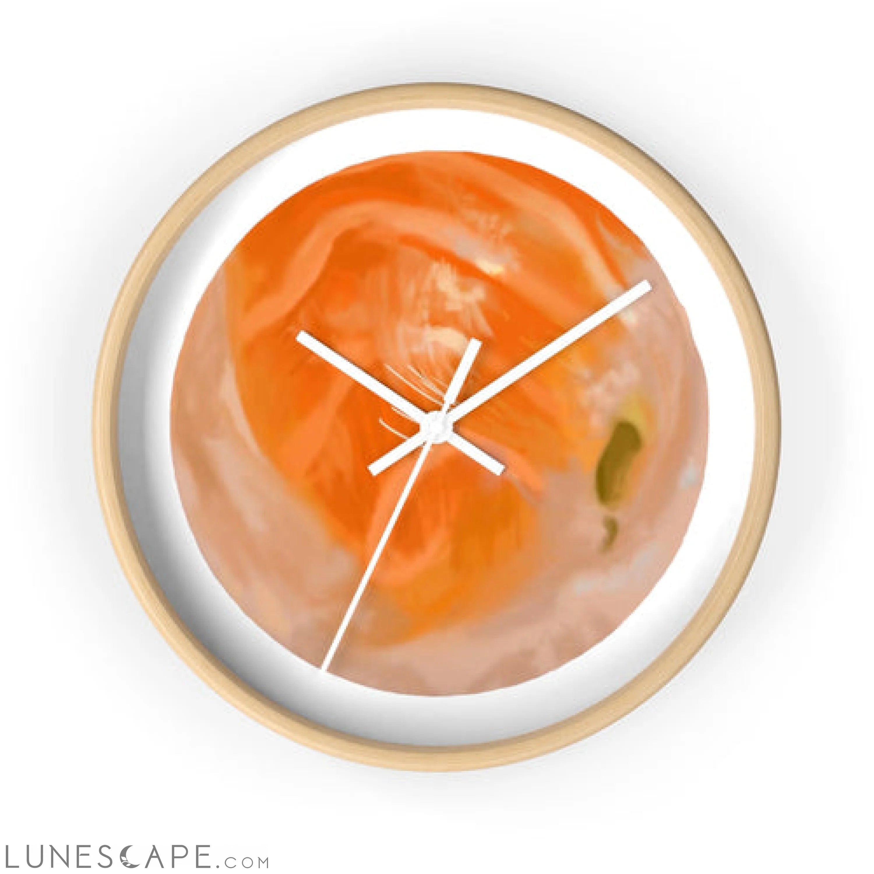 Sushi Wall clock LUNESCAPE