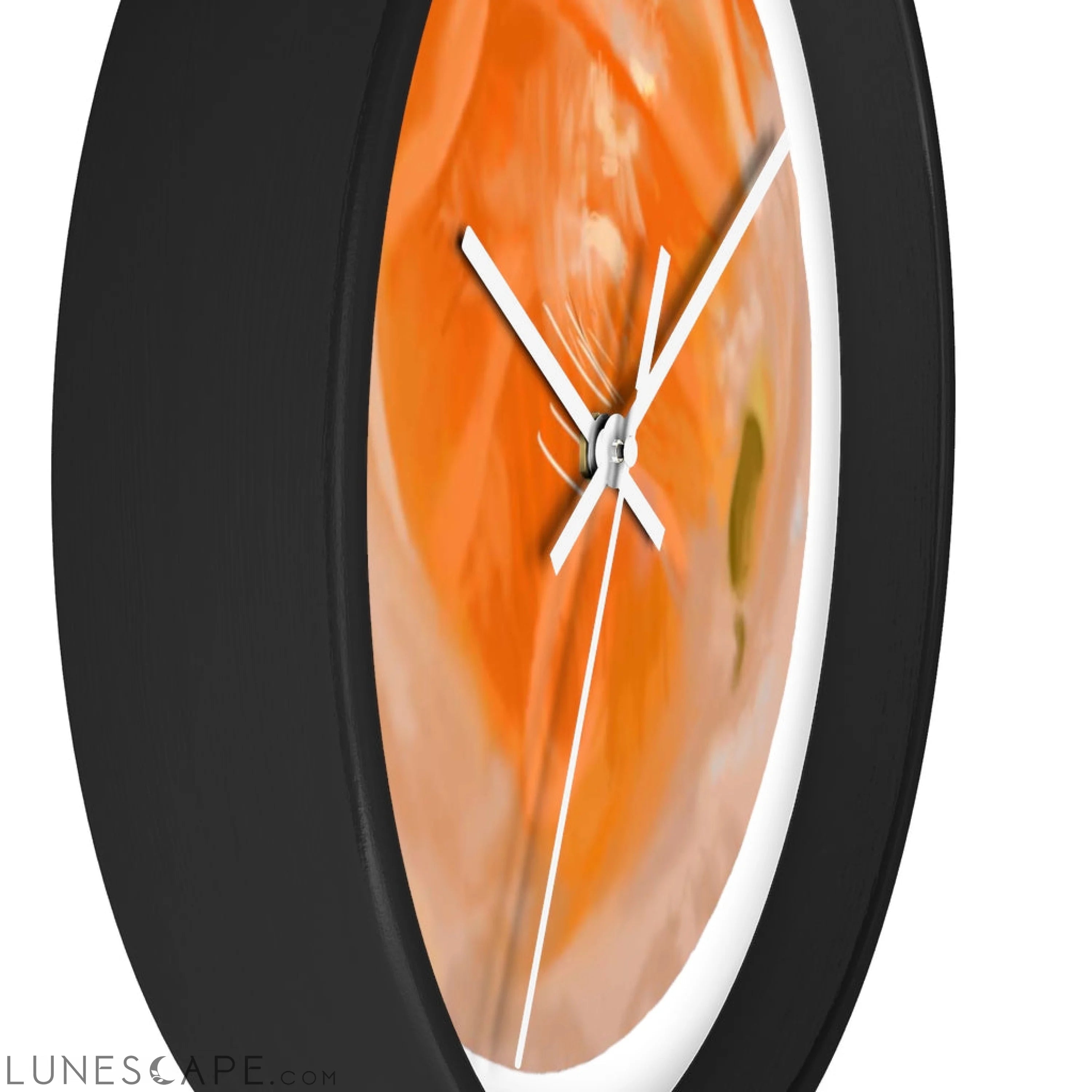 Sushi Wall clock LUNESCAPE