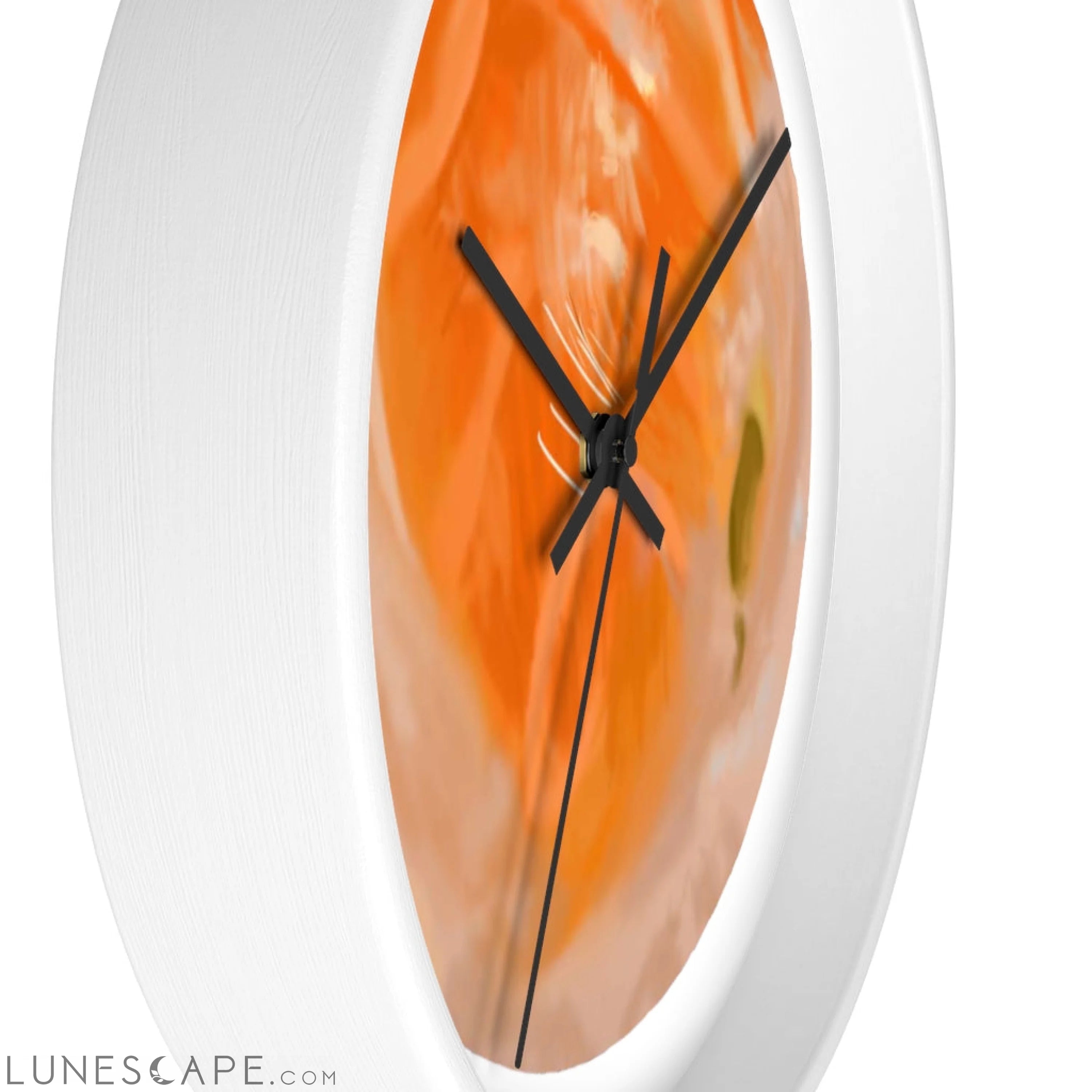 Sushi Wall clock LUNESCAPE