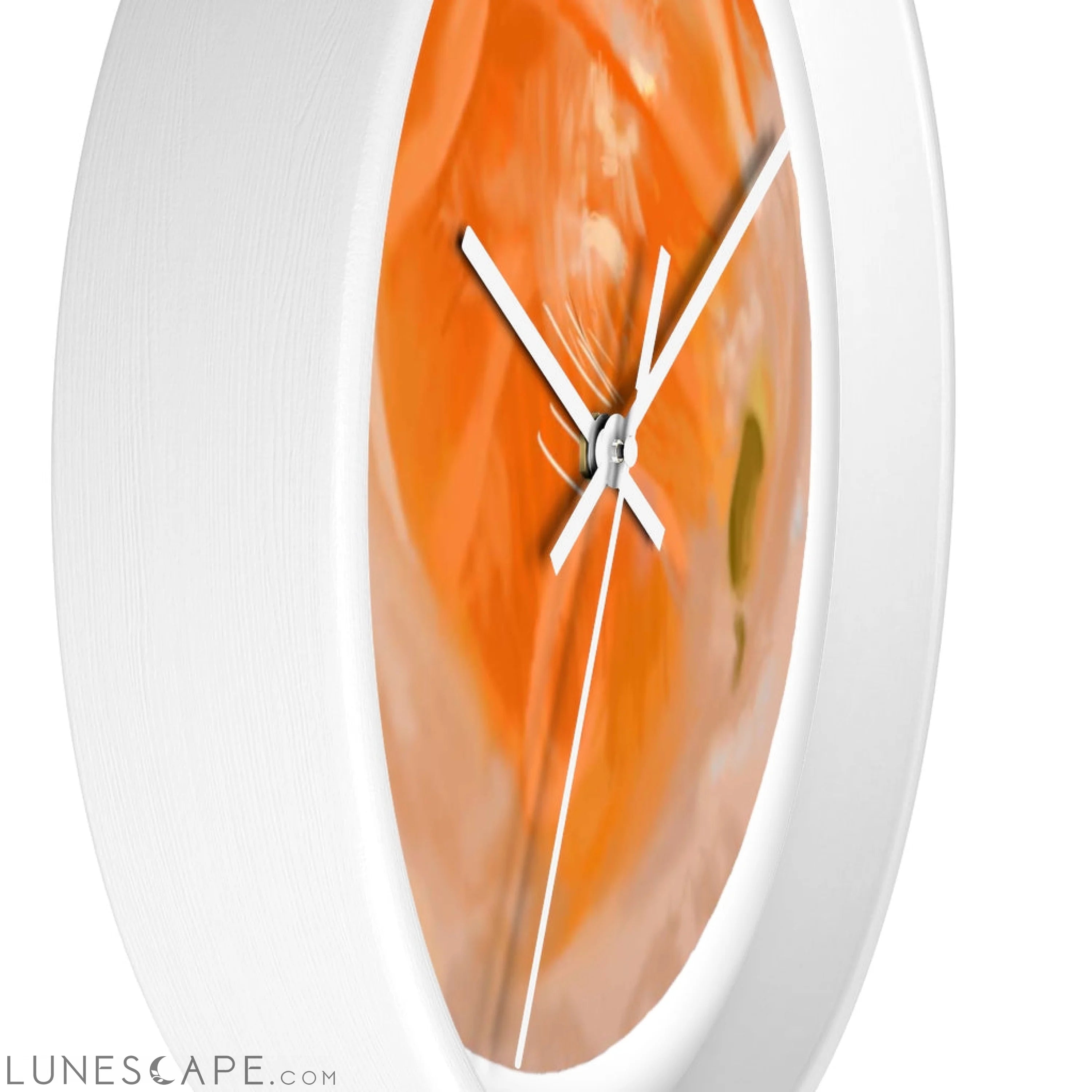 Sushi Wall clock LUNESCAPE