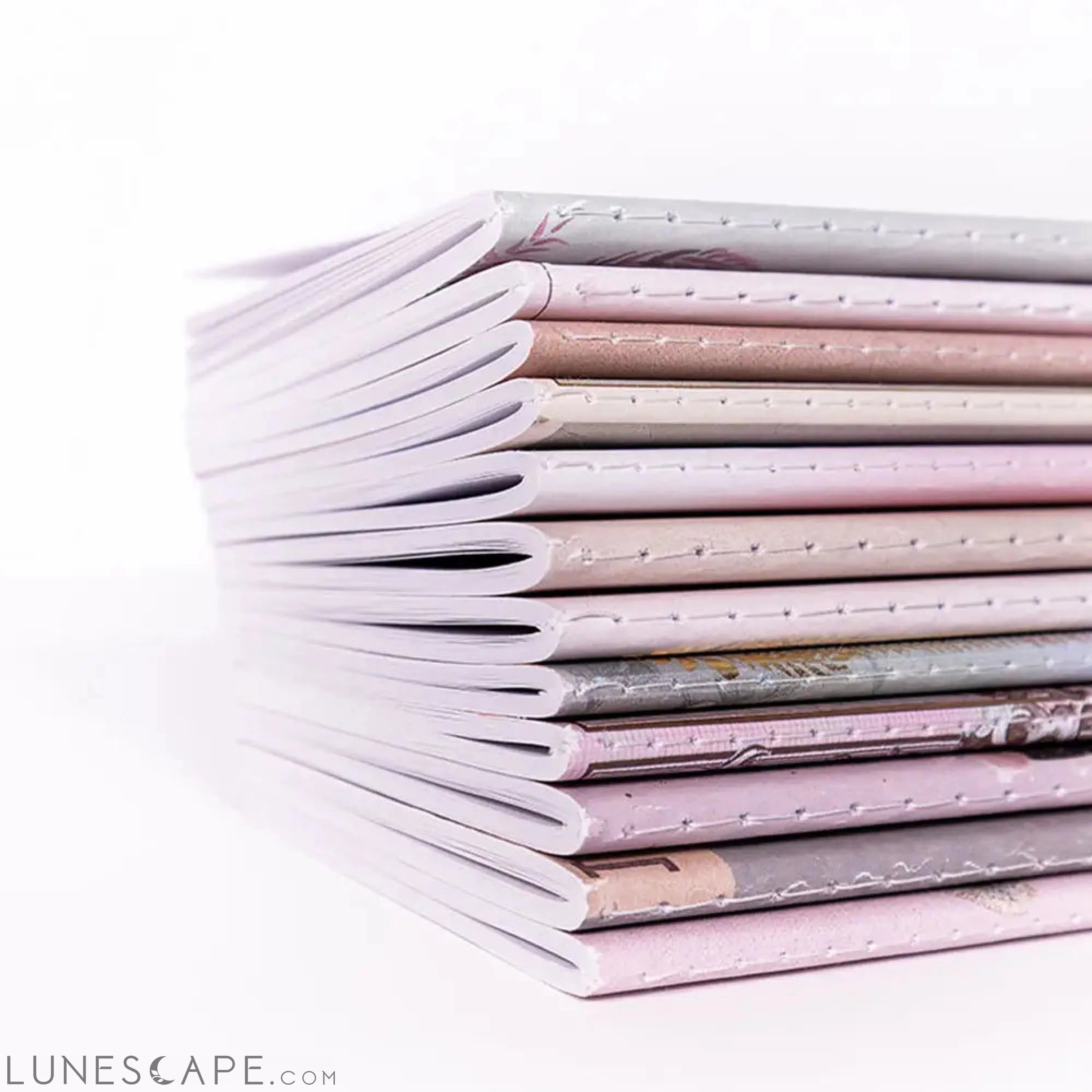 Tiger Roar Mini Book | Saddle-Stitched Pocket Notebook LUNESCAPE