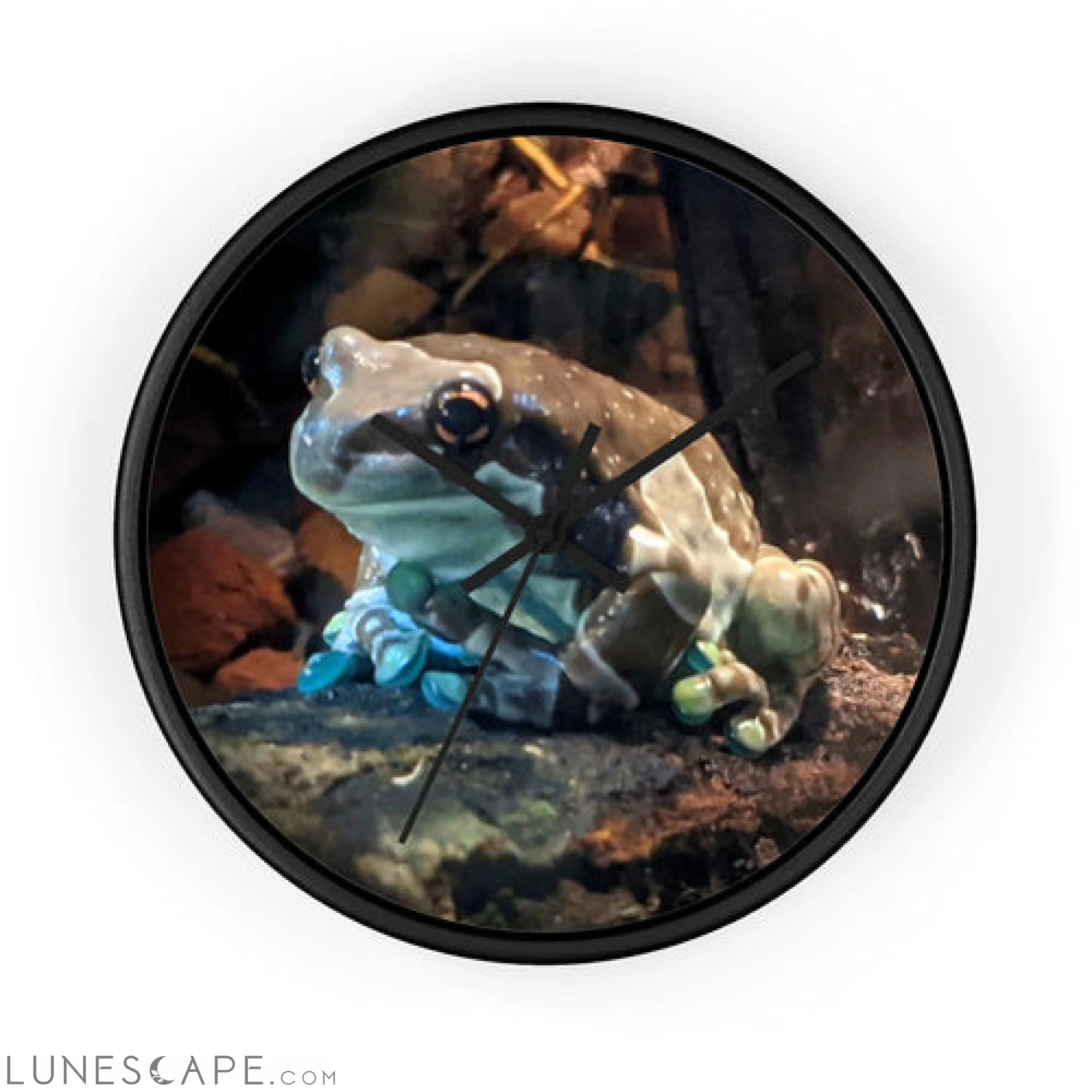 Toad Wall clock LUNESCAPE