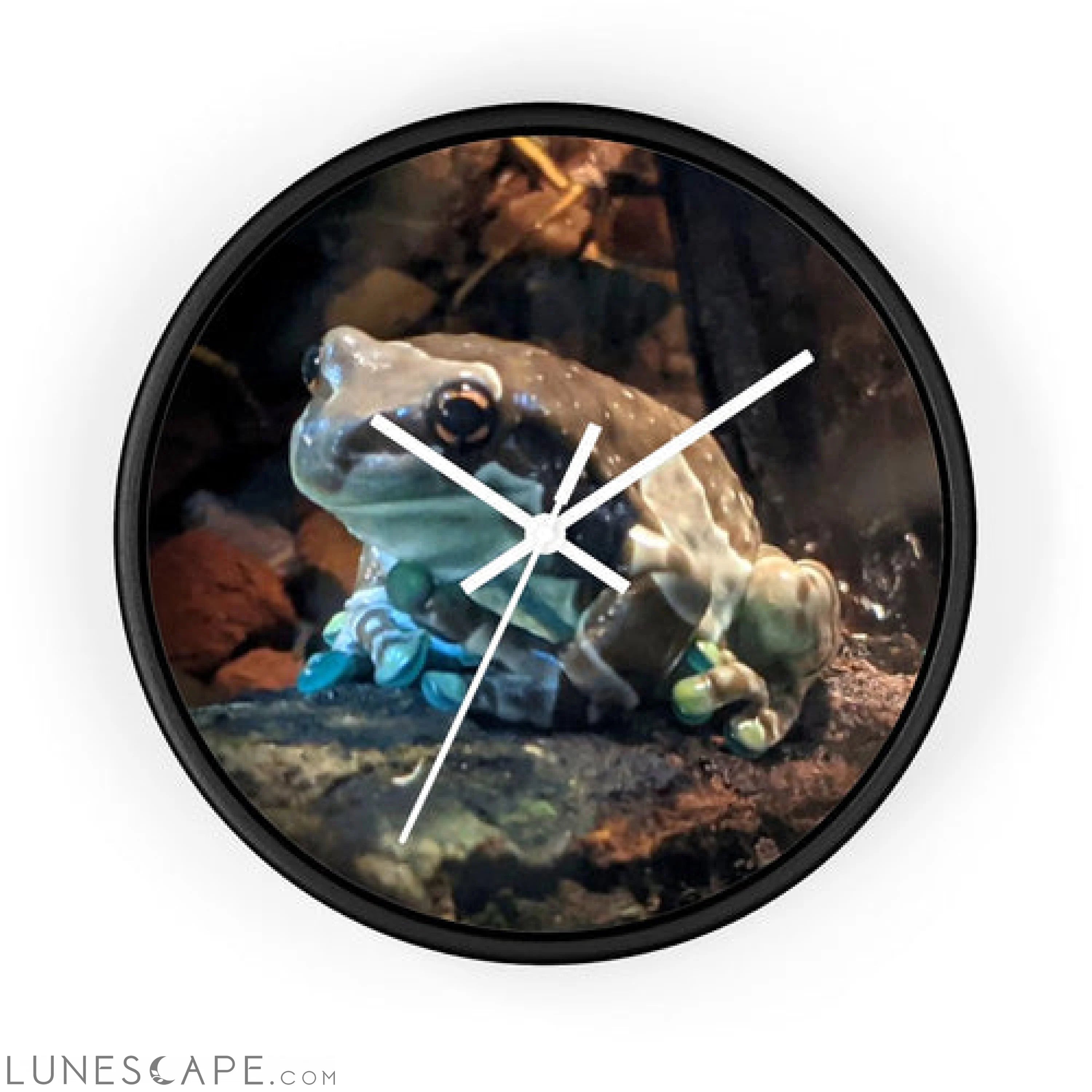 Toad Wall clock LUNESCAPE