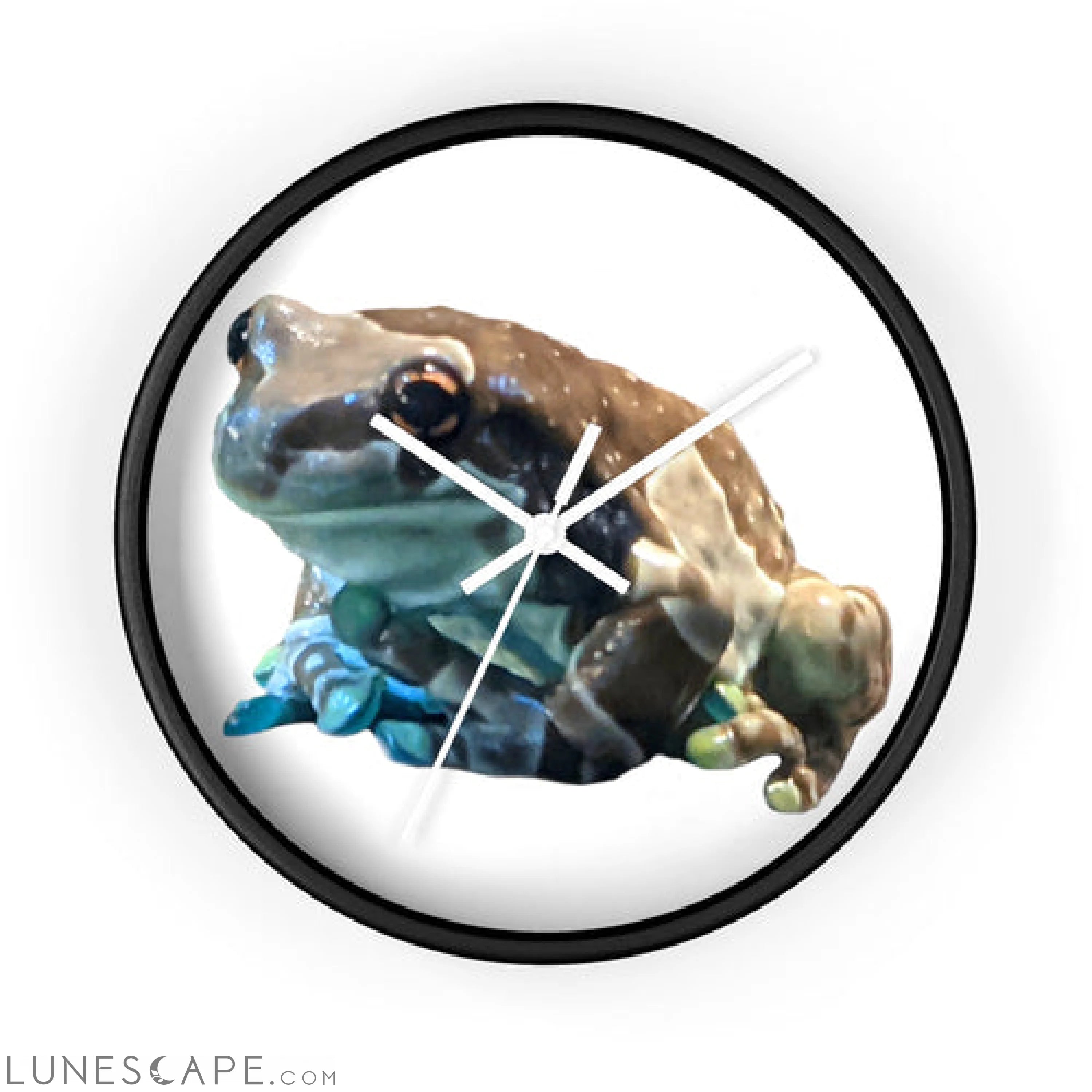Toad Wall clock LUNESCAPE