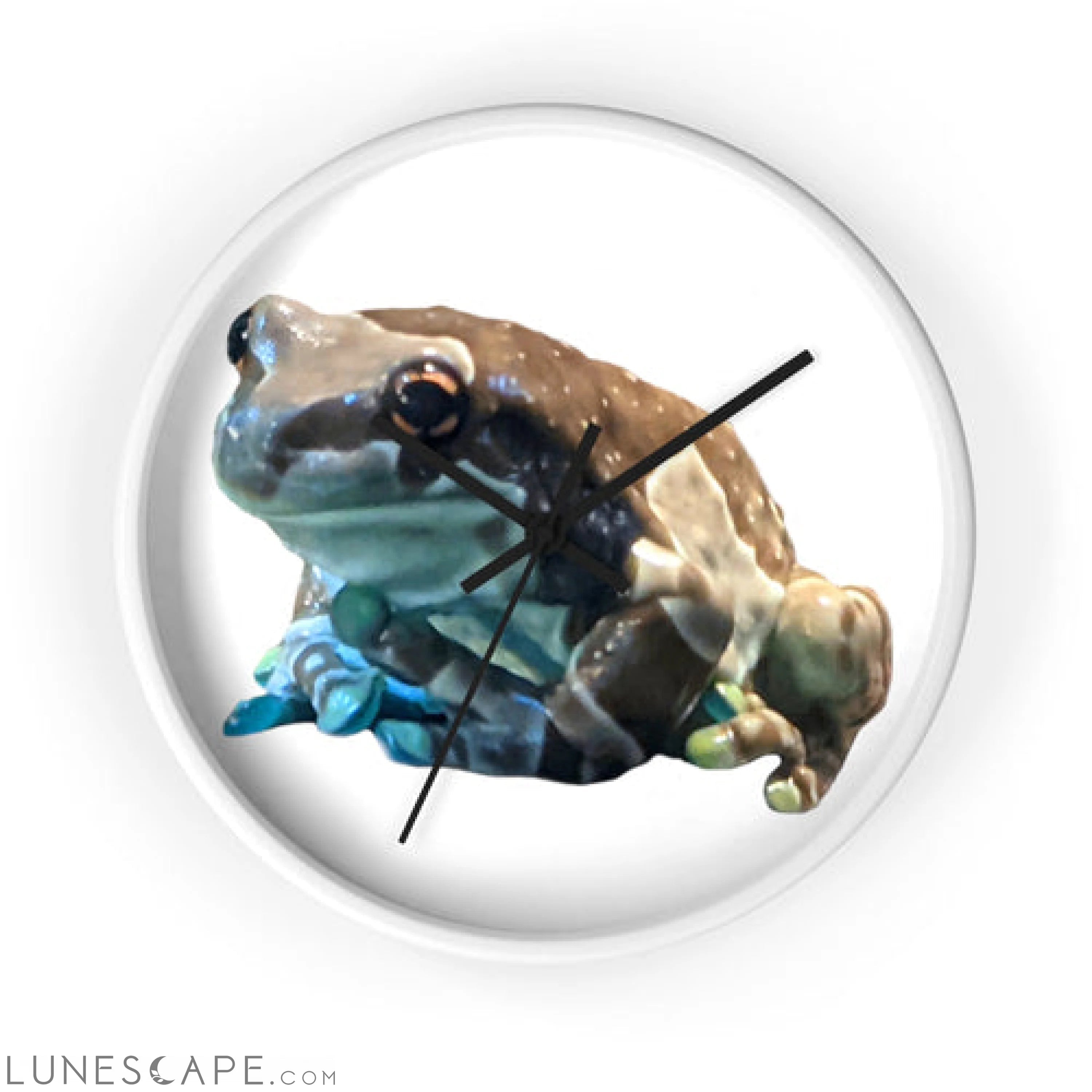 Toad Wall clock LUNESCAPE