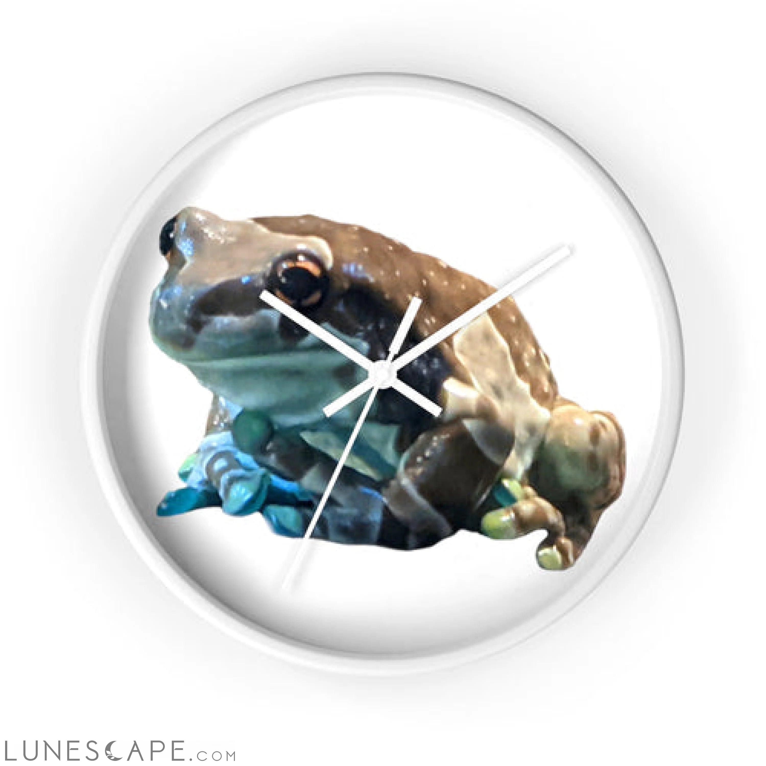 Toad Wall clock LUNESCAPE