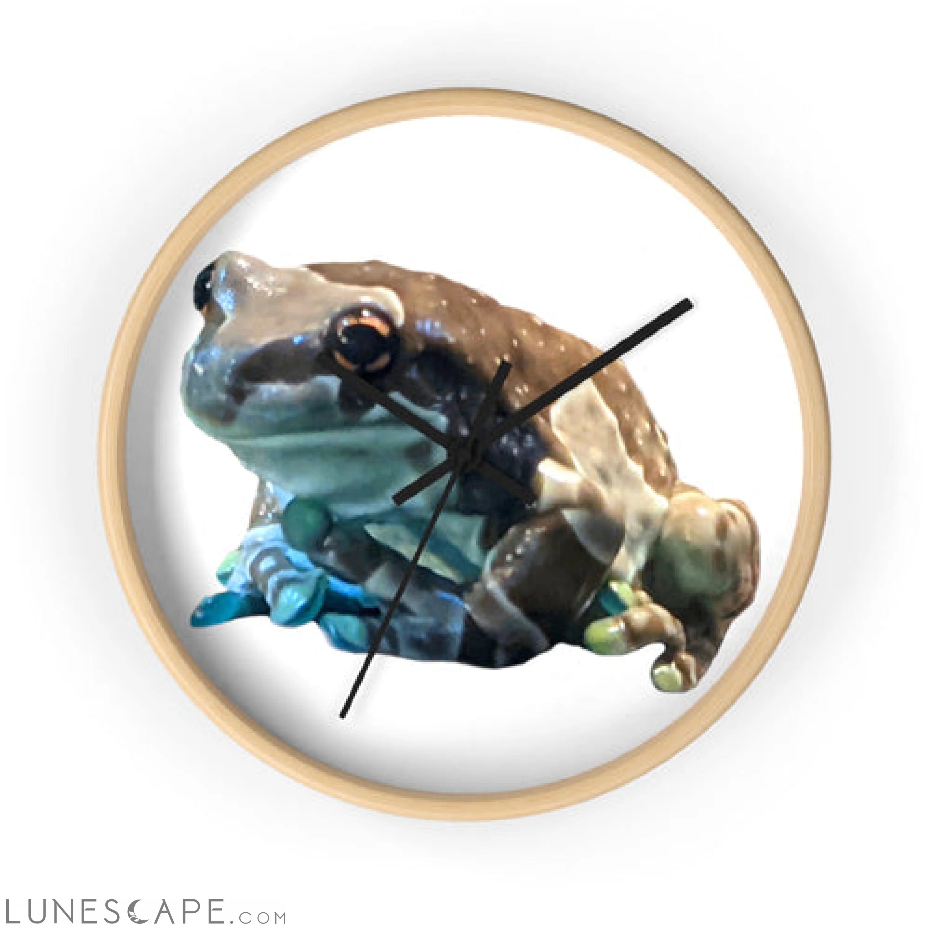 Toad Wall clock LUNESCAPE