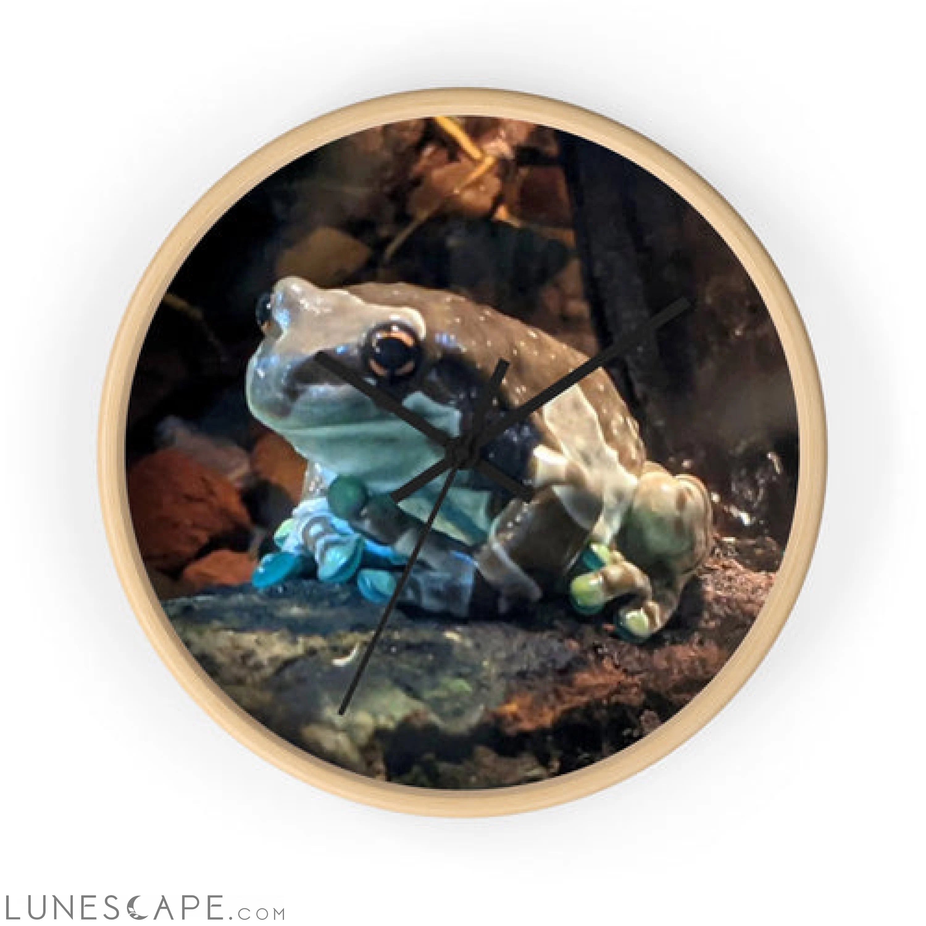 Toad Wall clock LUNESCAPE
