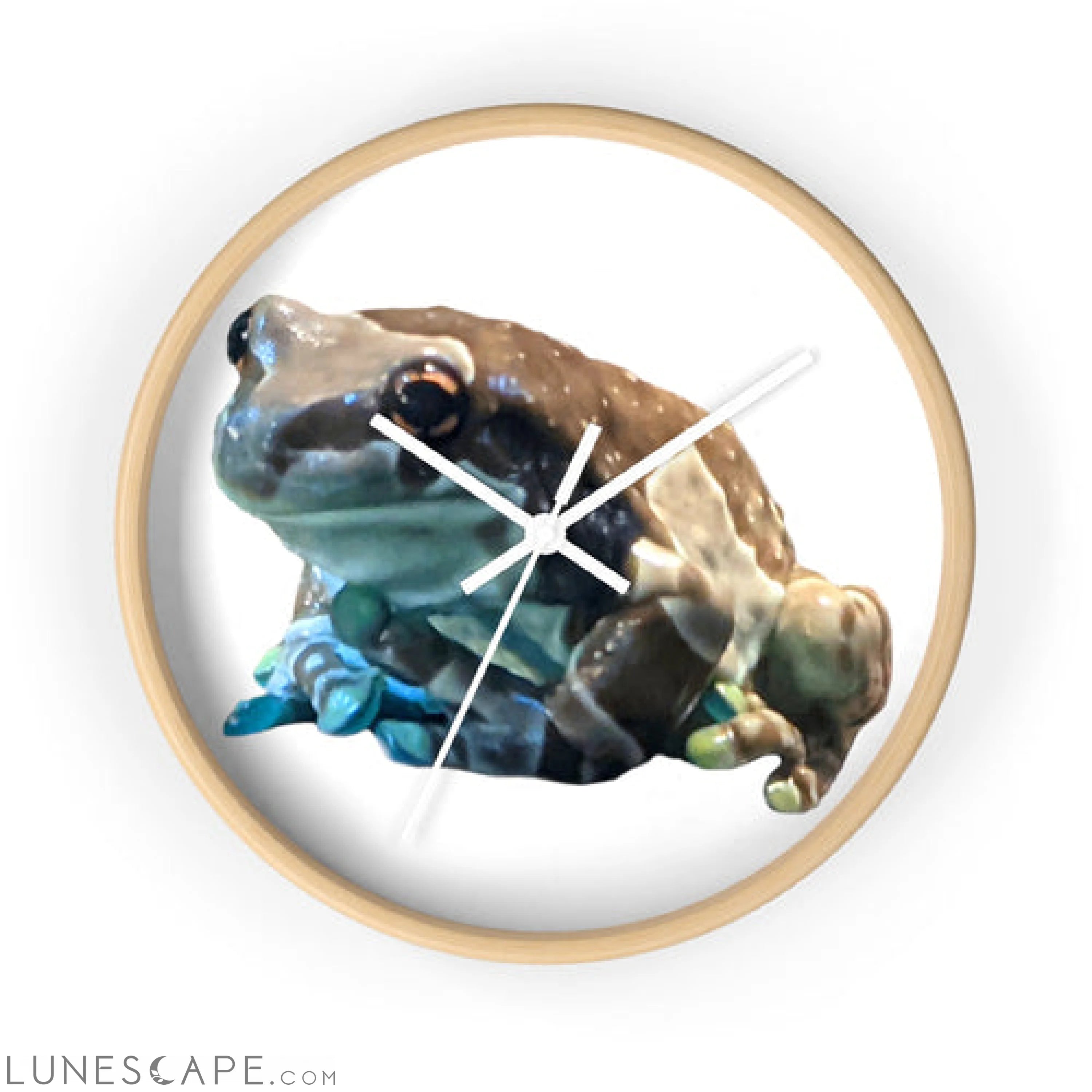 Toad Wall clock LUNESCAPE