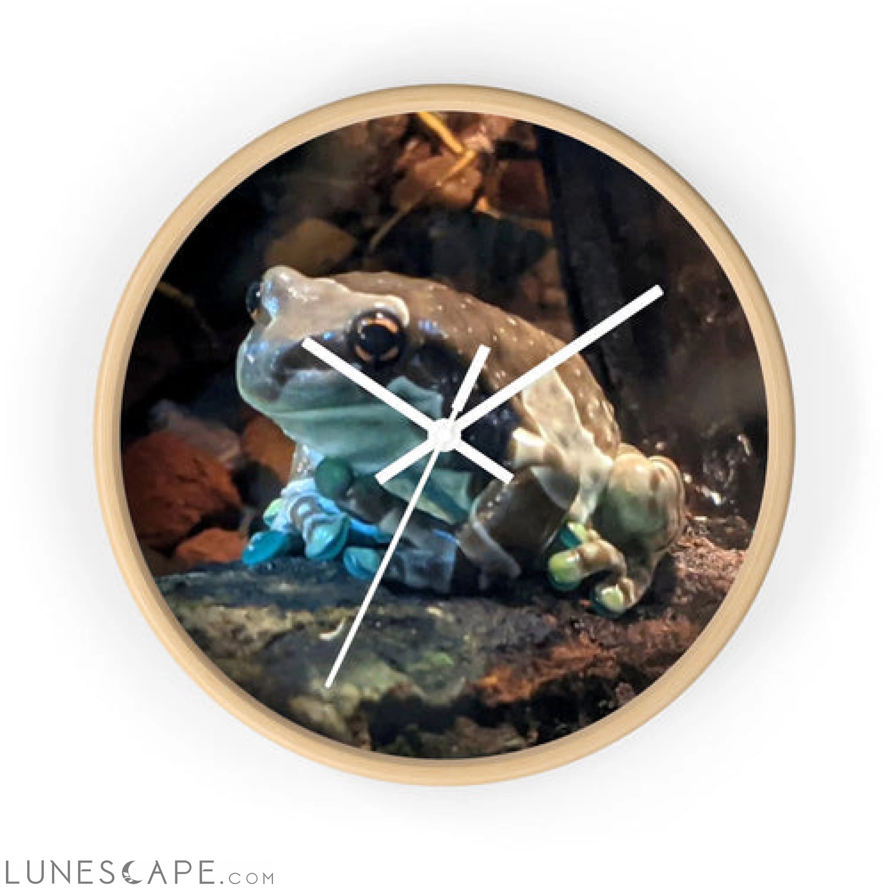 Toad Wall clock LUNESCAPE