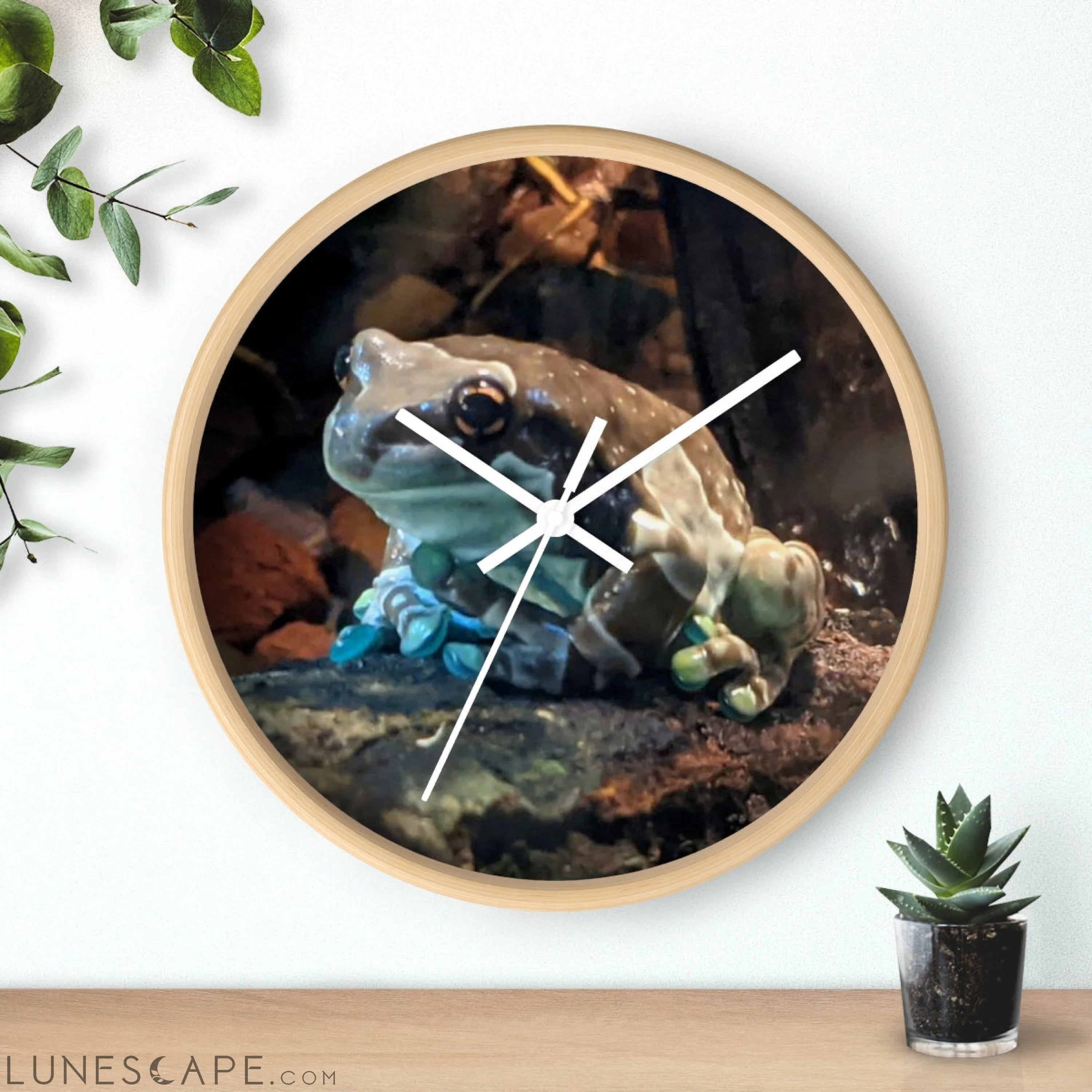 Toad Wall clock LUNESCAPE