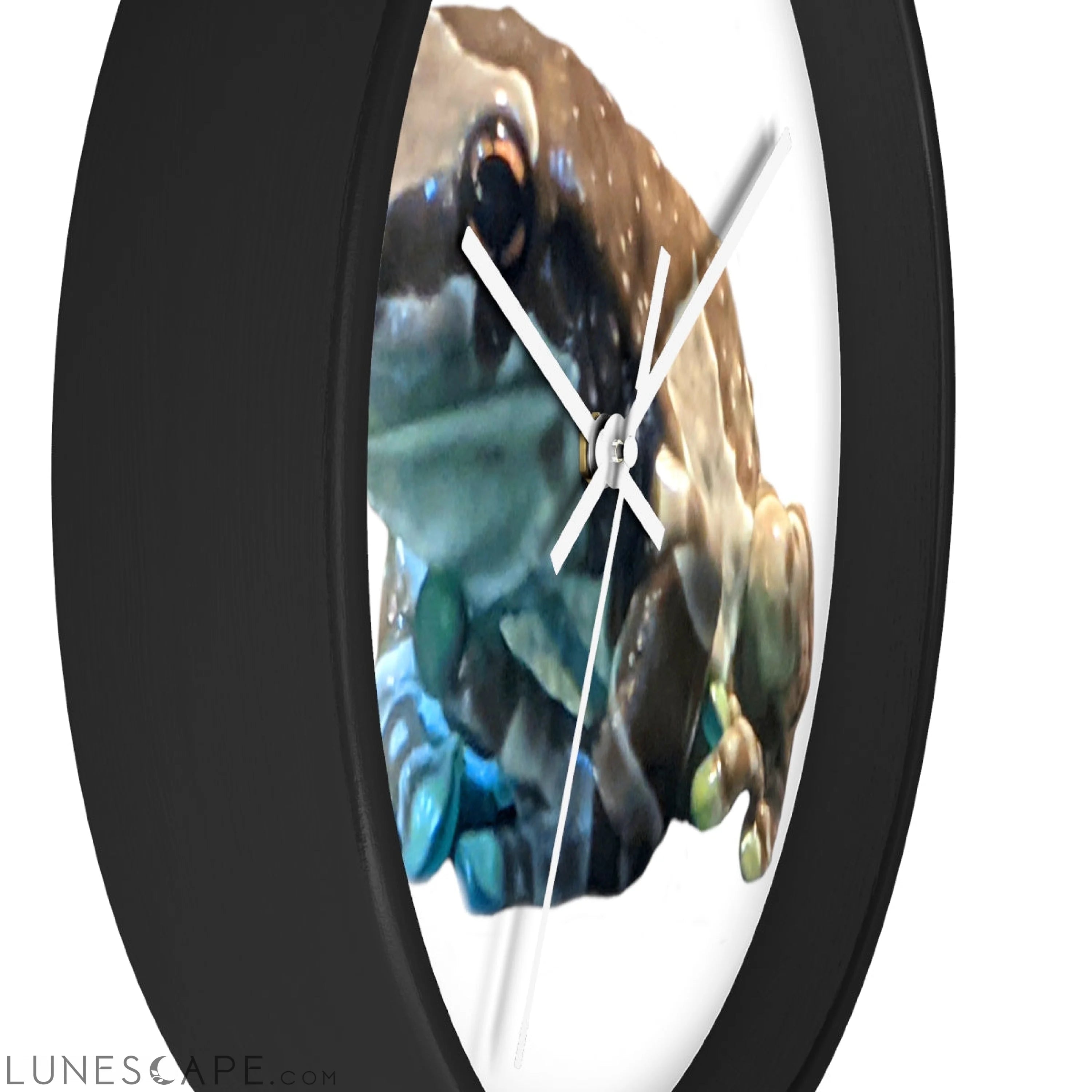 Toad Wall clock LUNESCAPE
