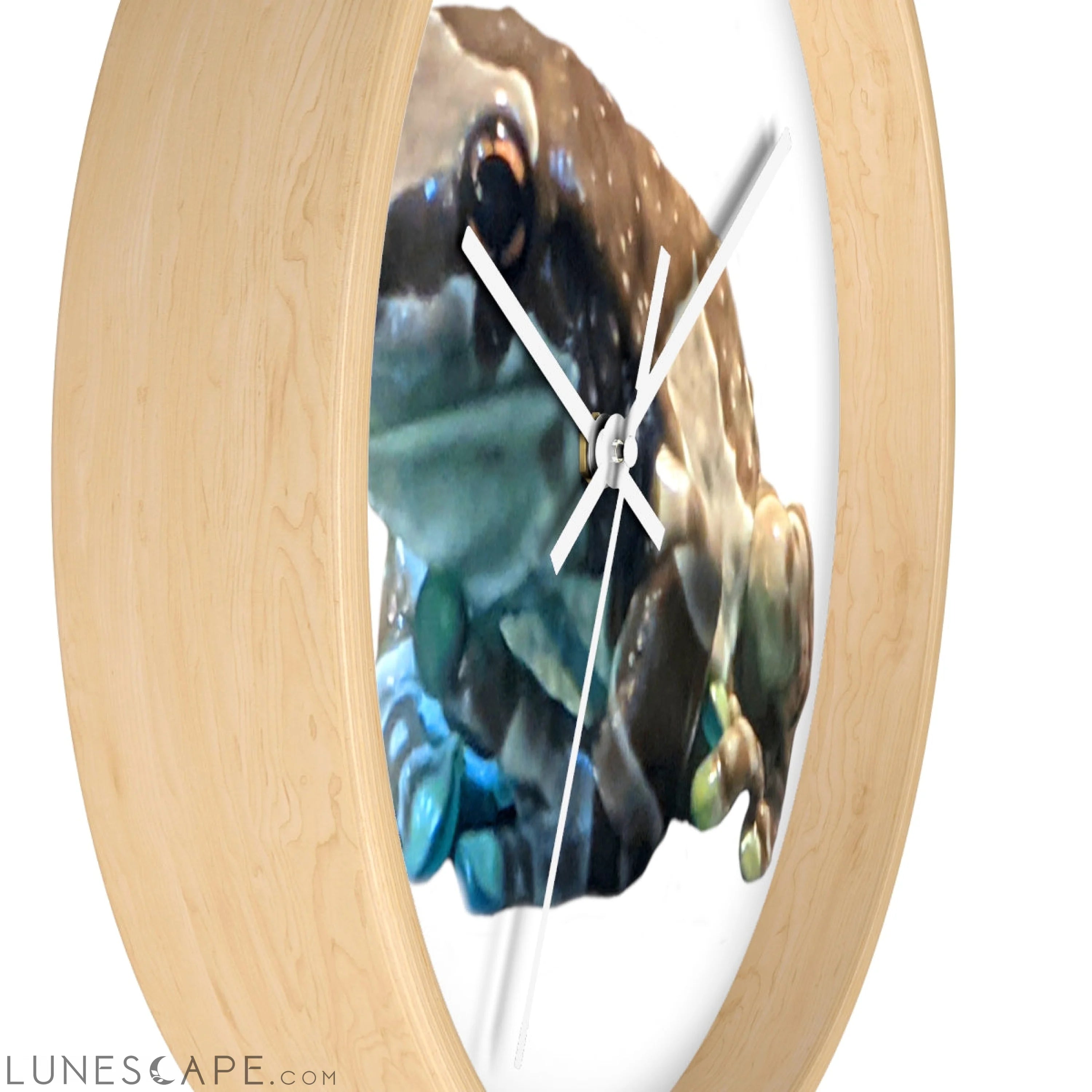 Toad Wall clock LUNESCAPE