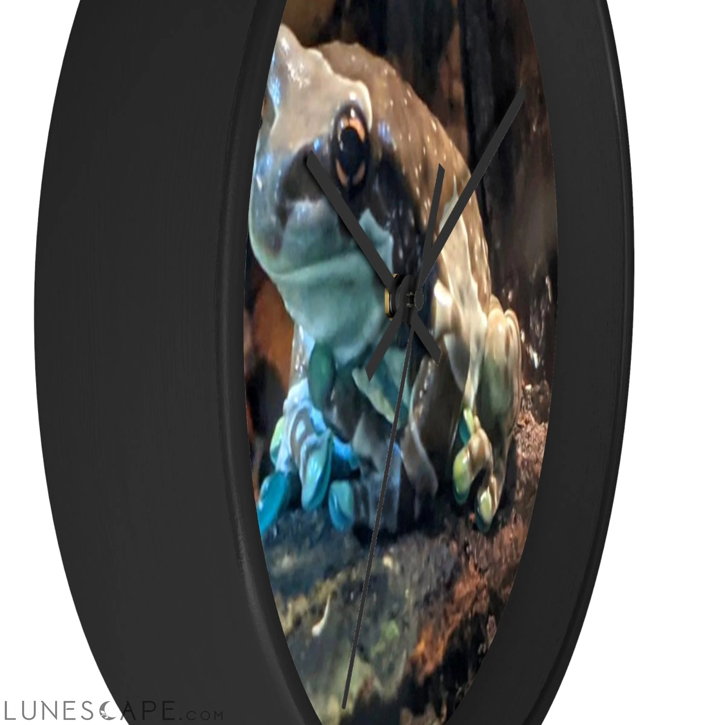 Toad Wall clock LUNESCAPE