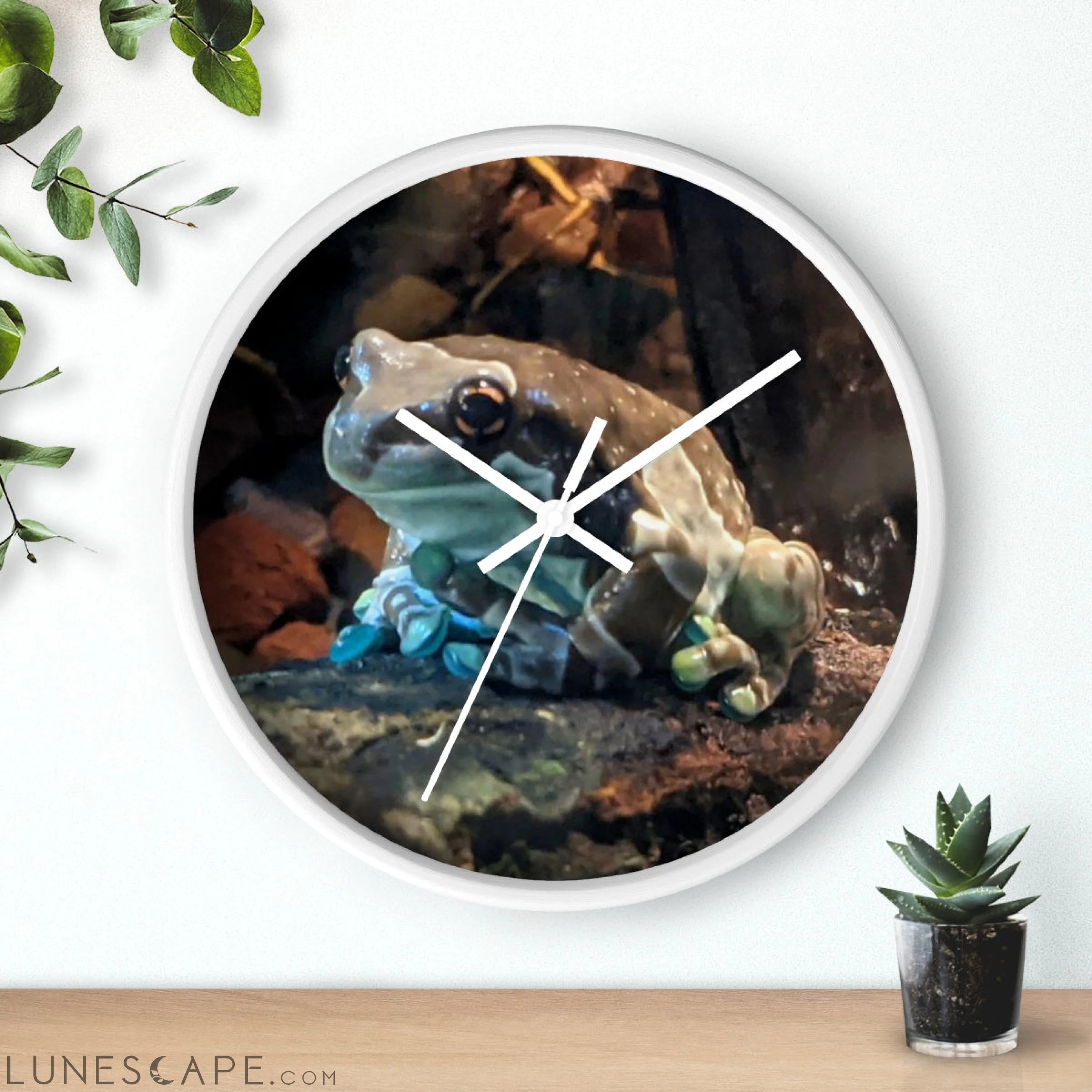 Toad Wall clock LUNESCAPE