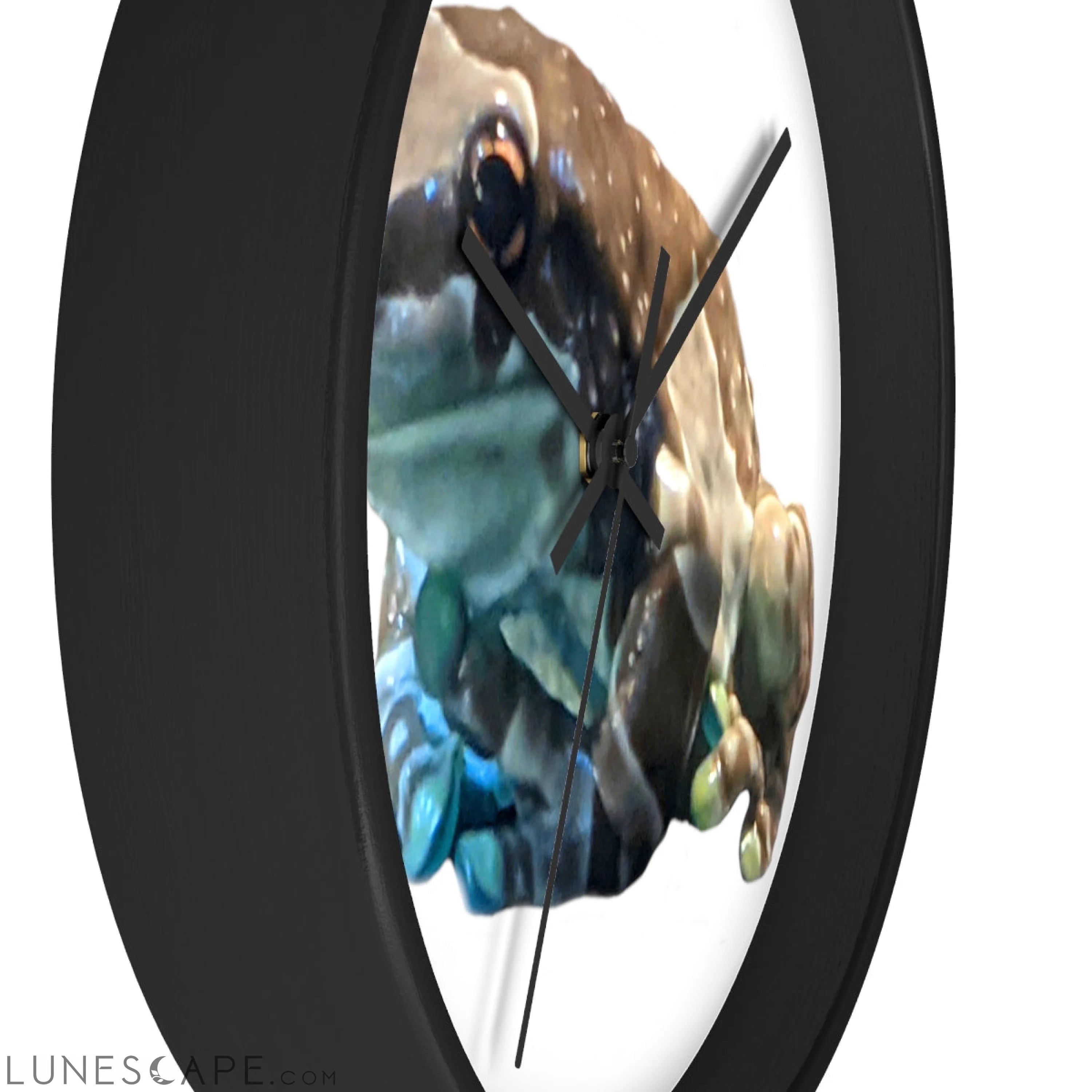 Toad Wall clock LUNESCAPE