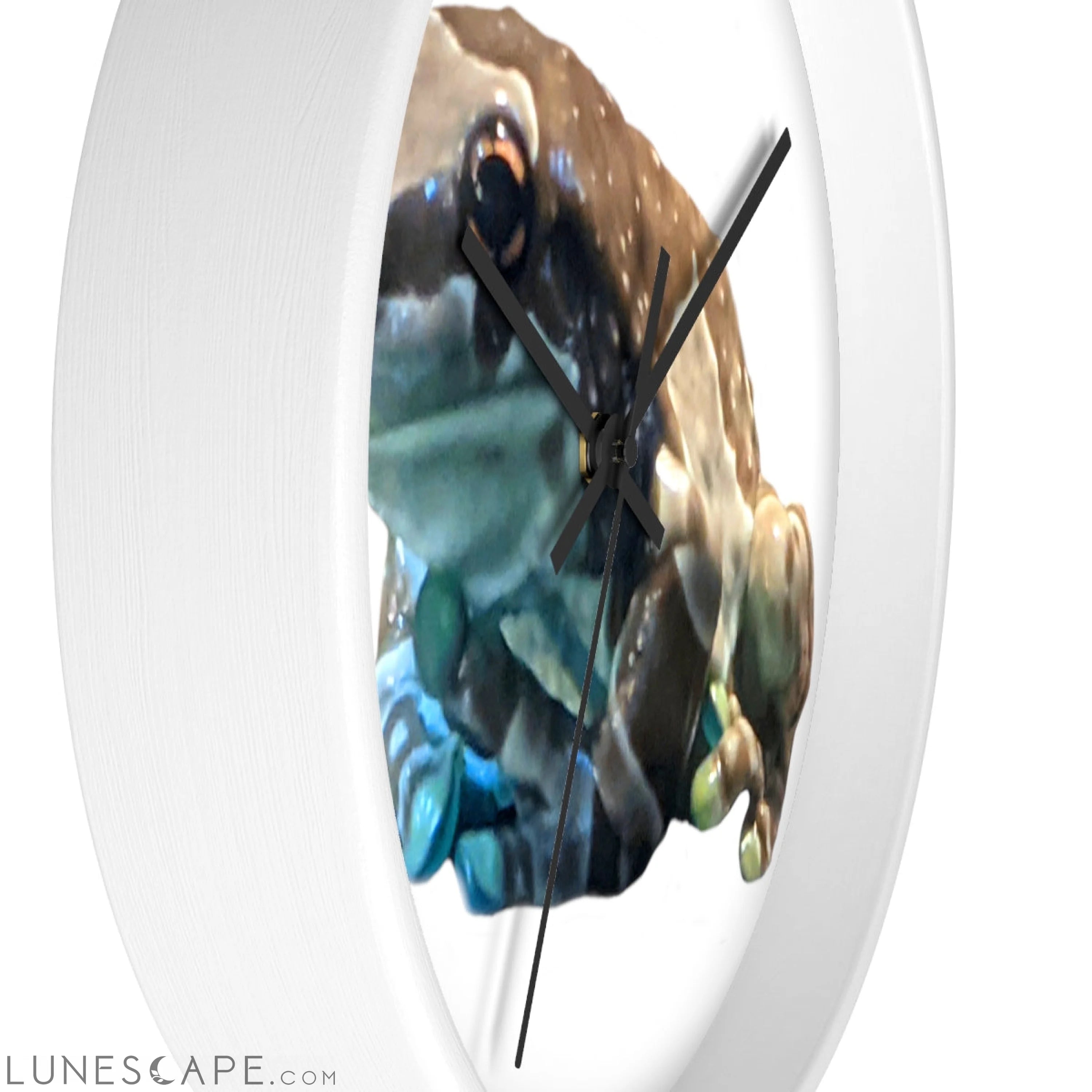Toad Wall clock LUNESCAPE