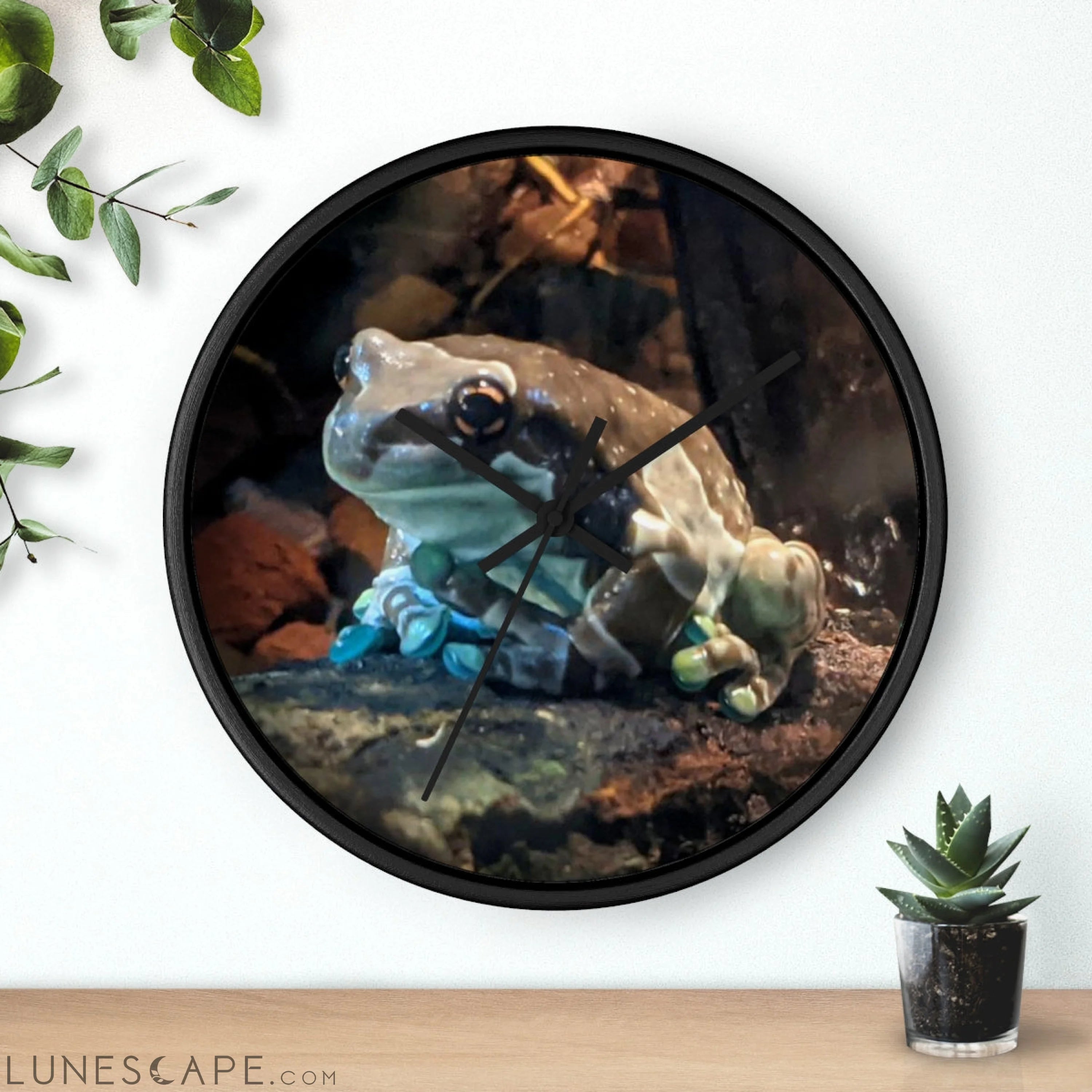 Toad Wall clock LUNESCAPE