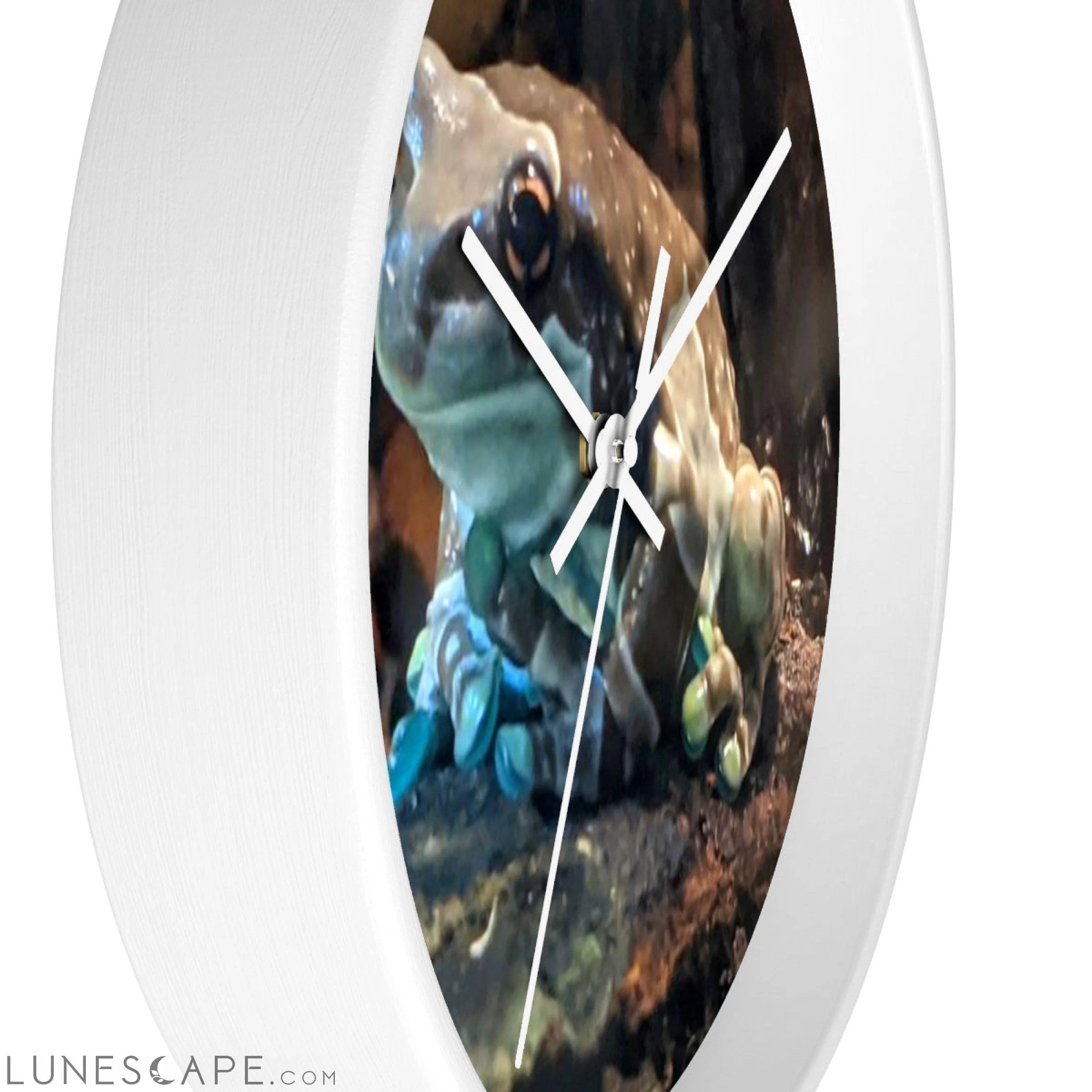 Toad Wall clock LUNESCAPE