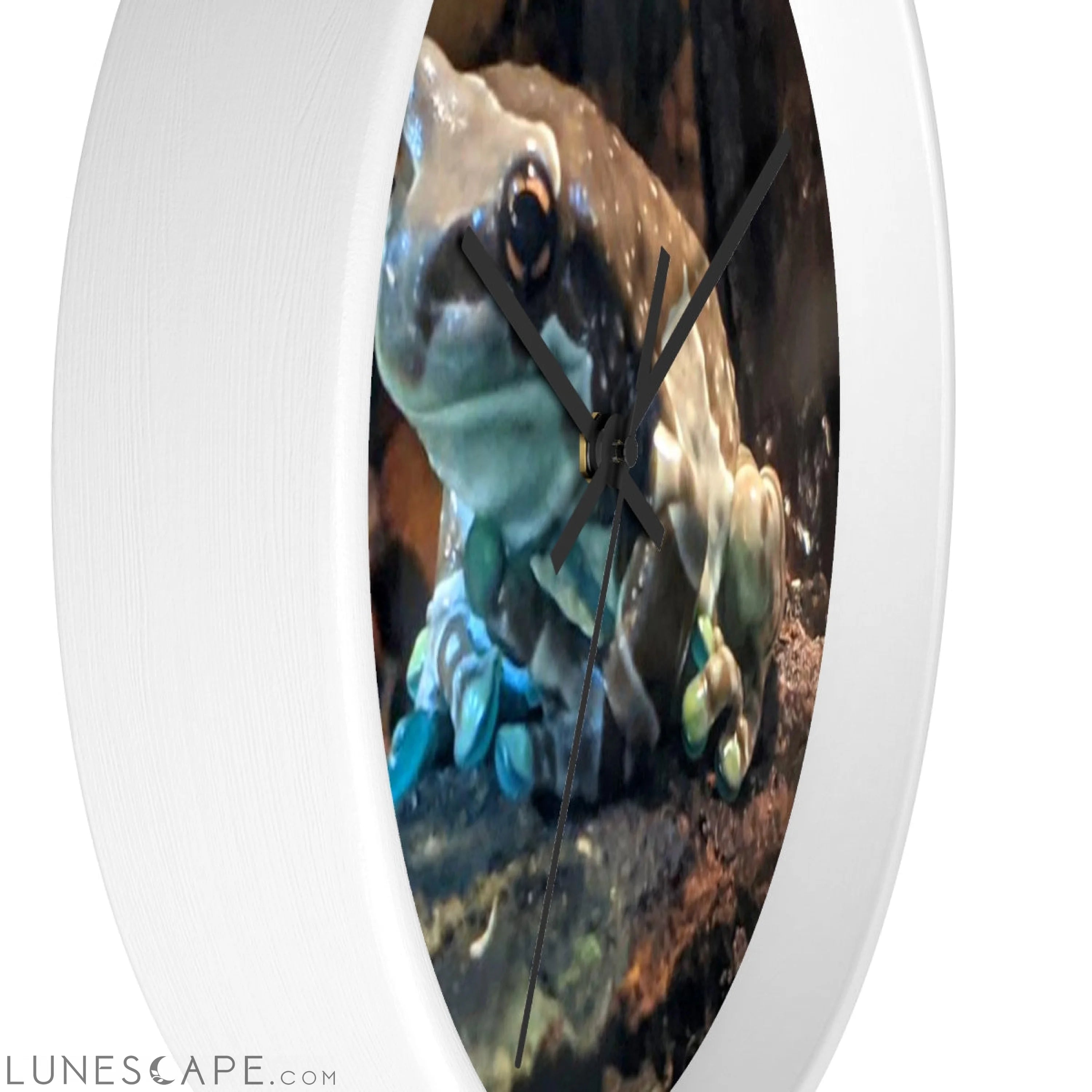 Toad Wall clock LUNESCAPE