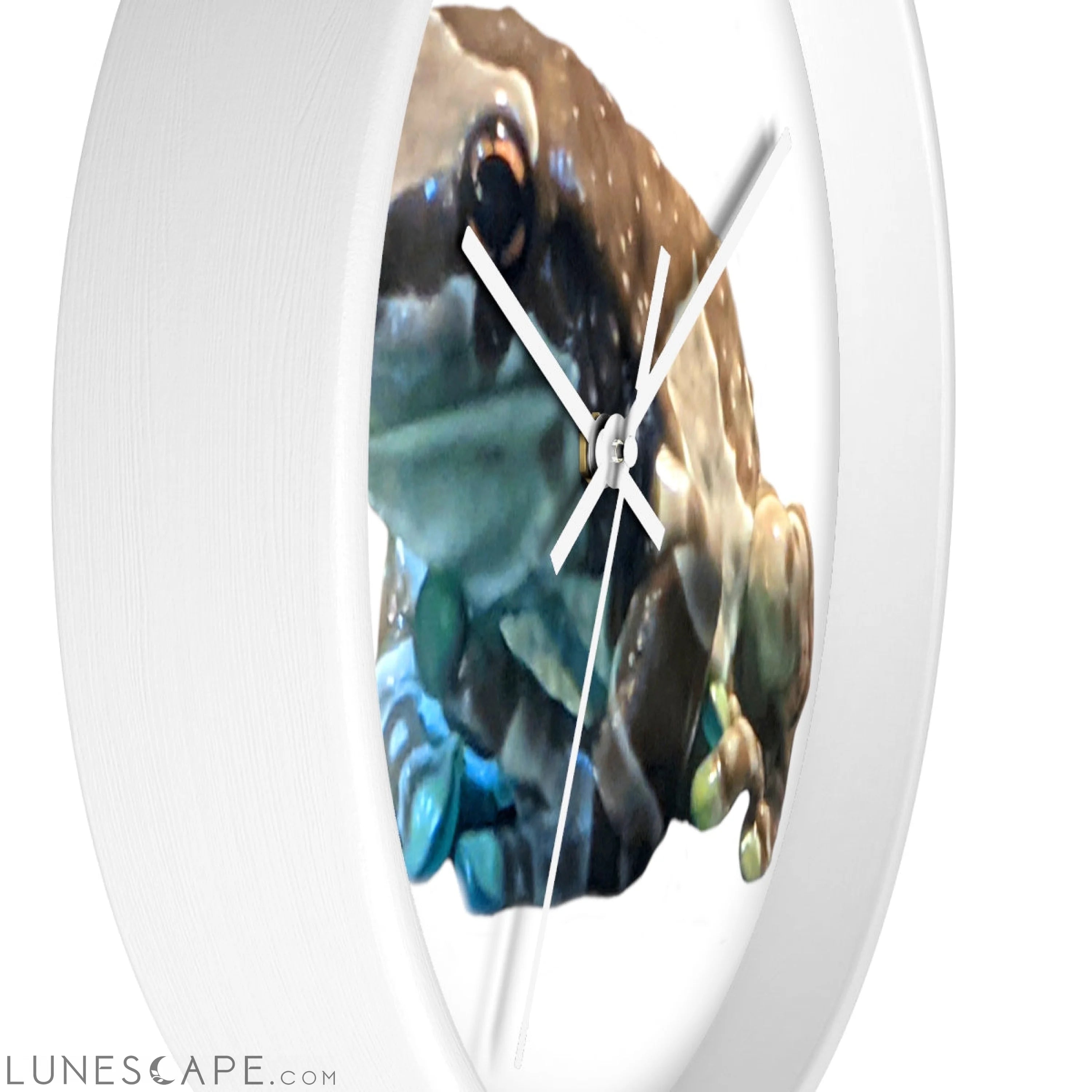 Toad Wall clock LUNESCAPE