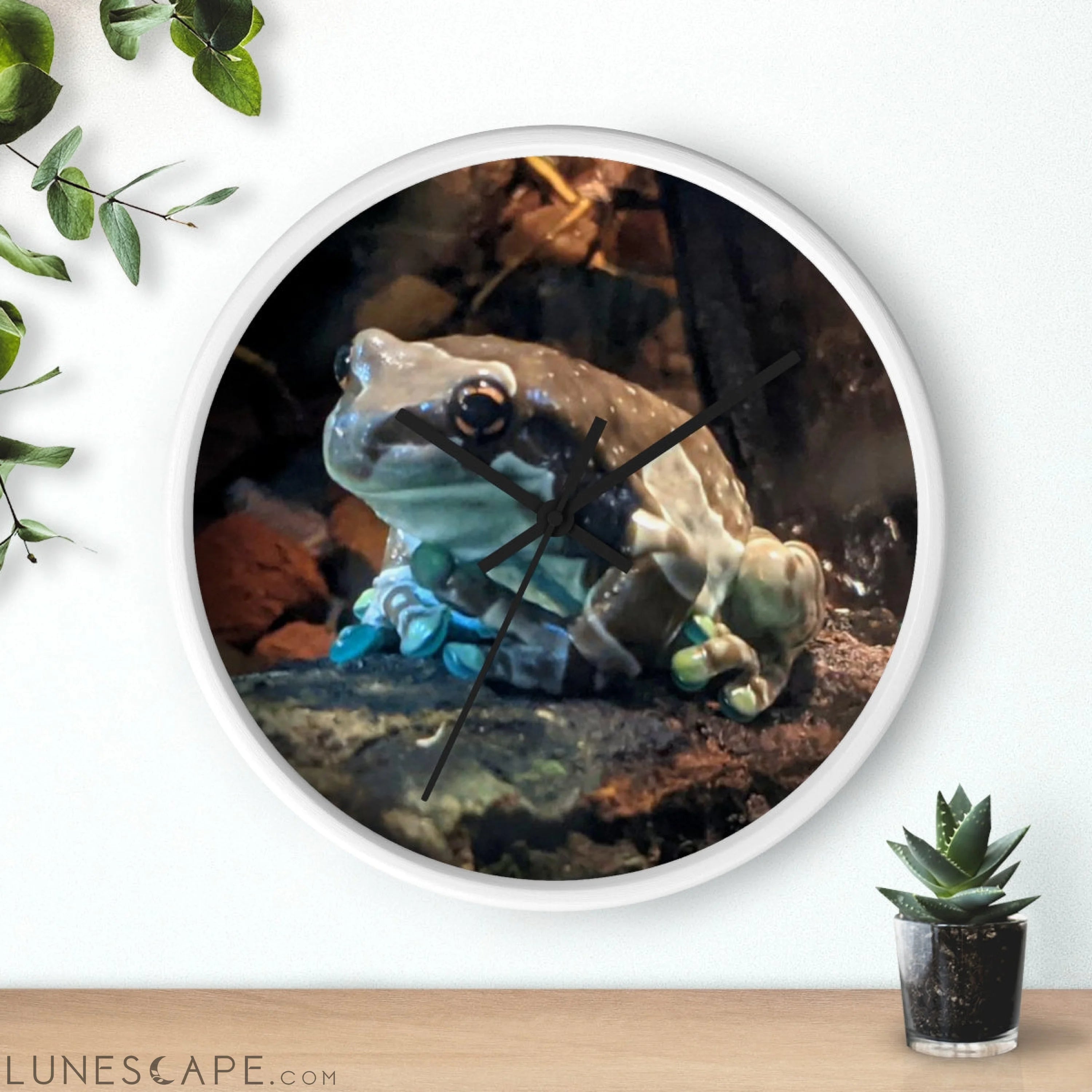 Toad Wall clock LUNESCAPE