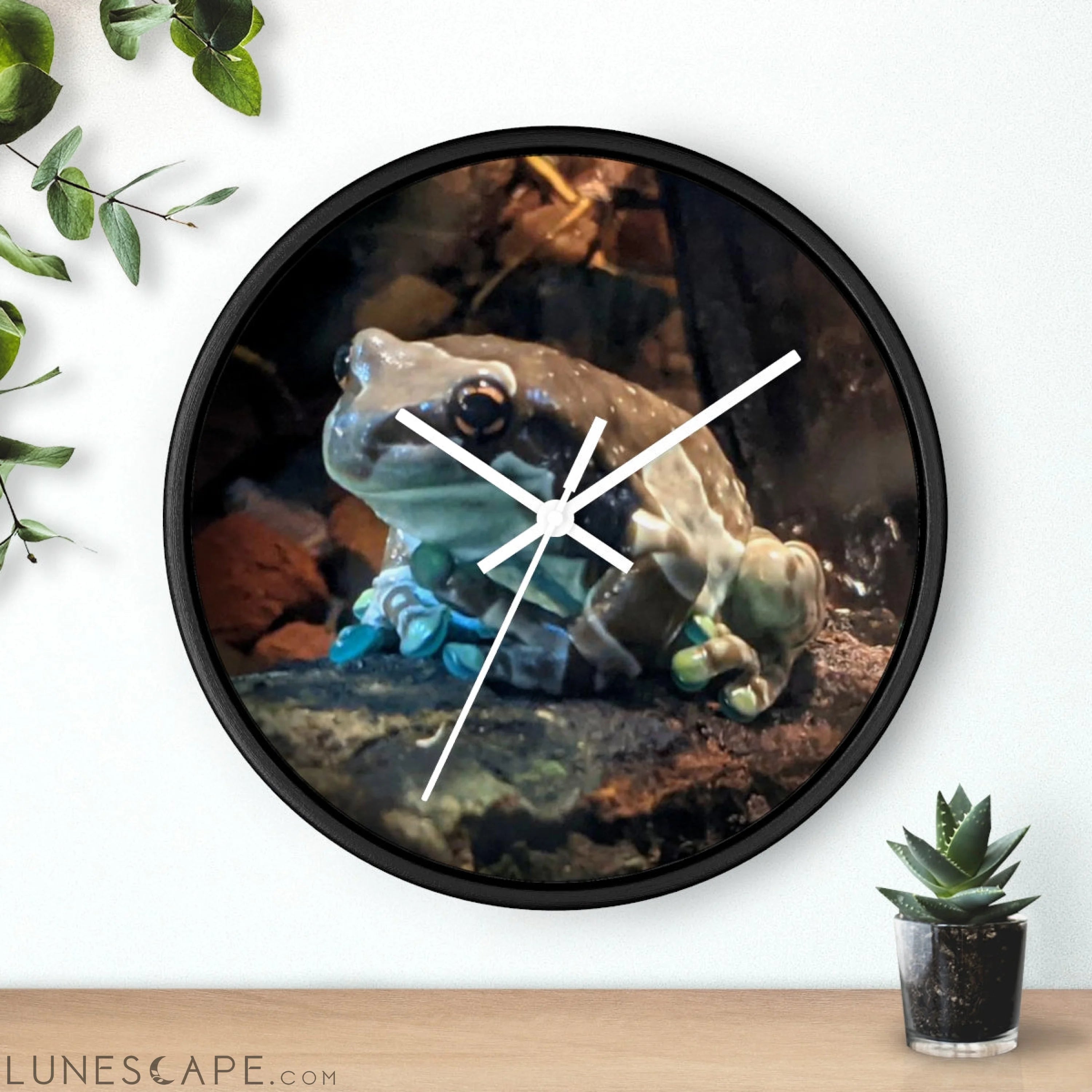 Toad Wall clock LUNESCAPE