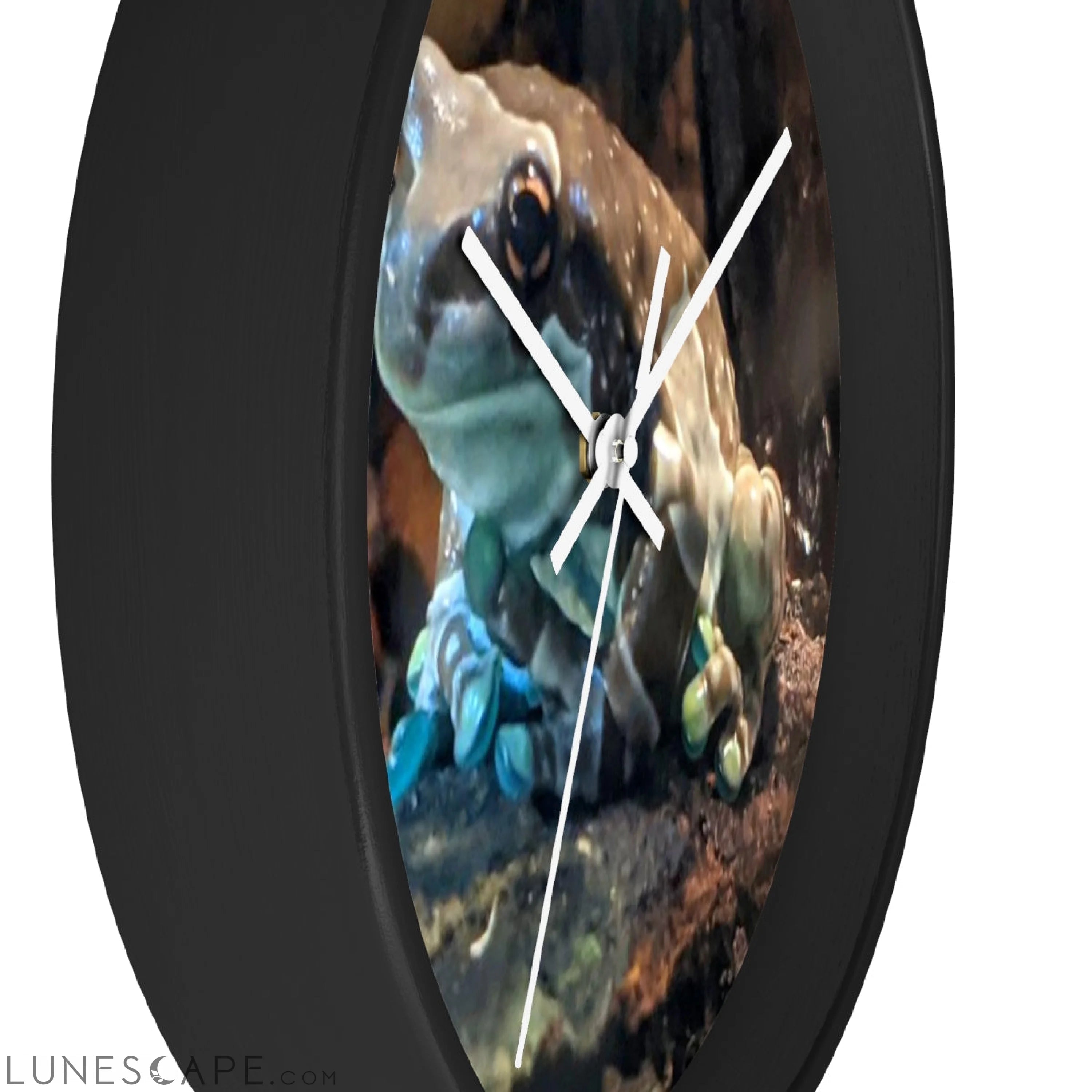 Toad Wall clock LUNESCAPE