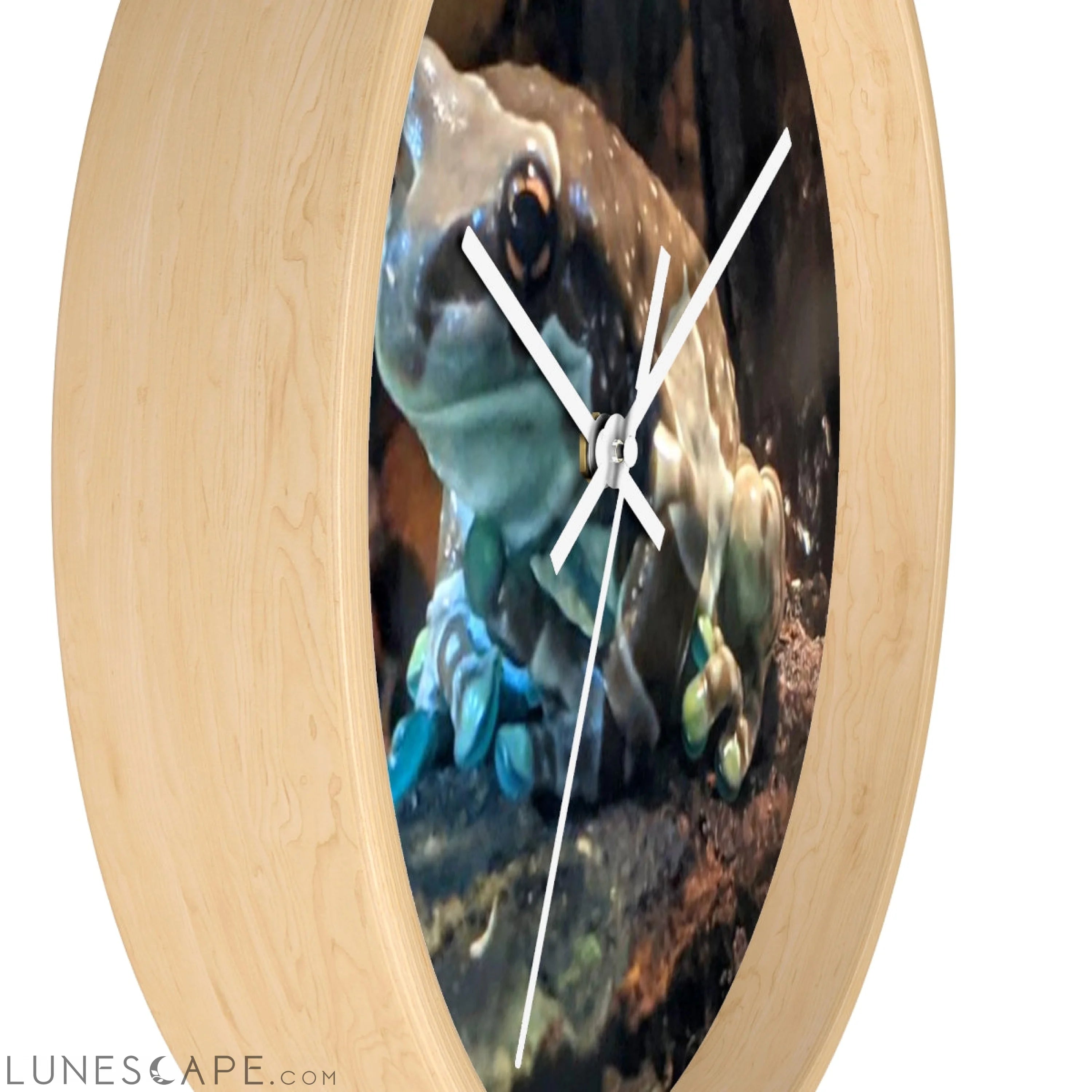 Toad Wall clock LUNESCAPE