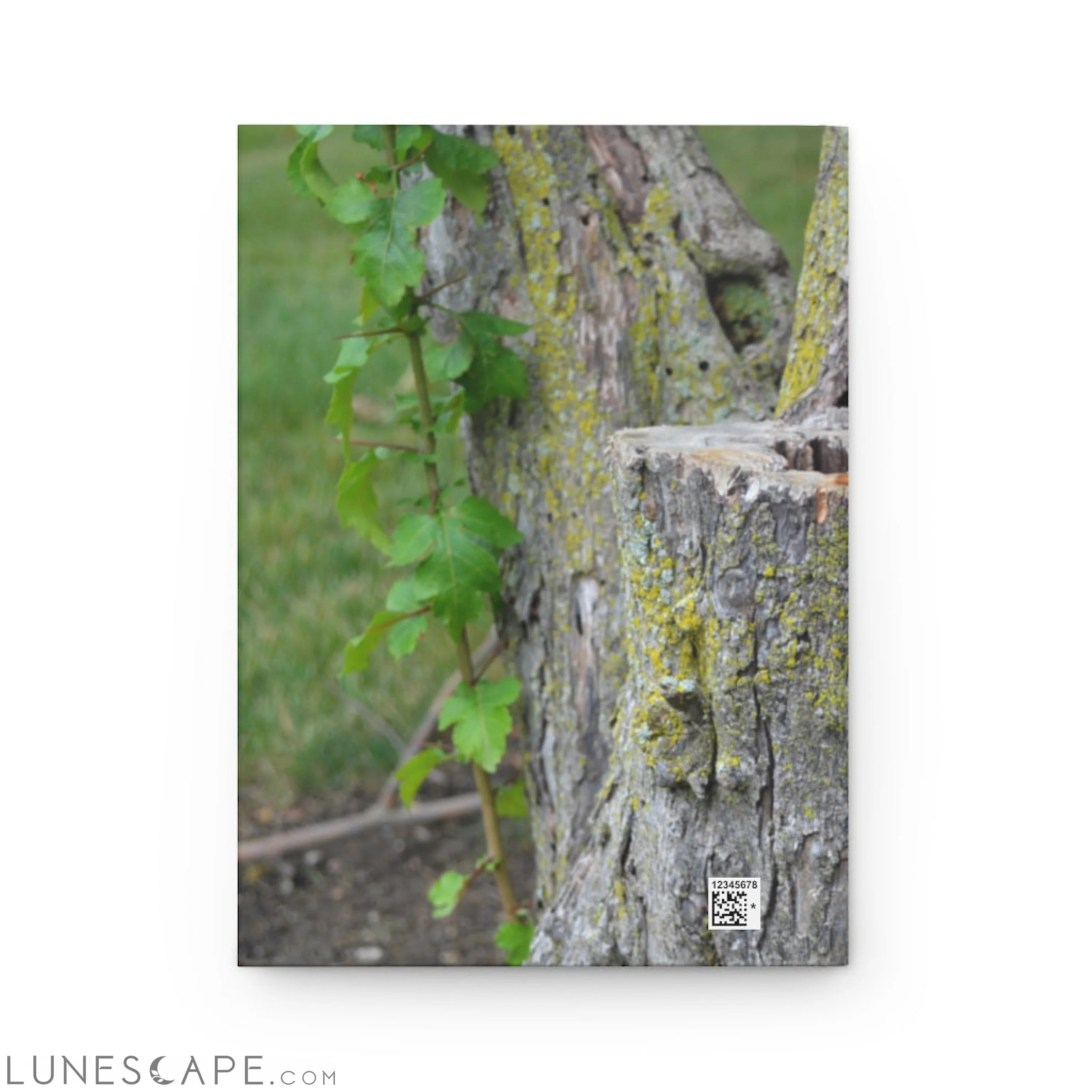Tree Stump Hardcover Journal Matte LUNESCAPE